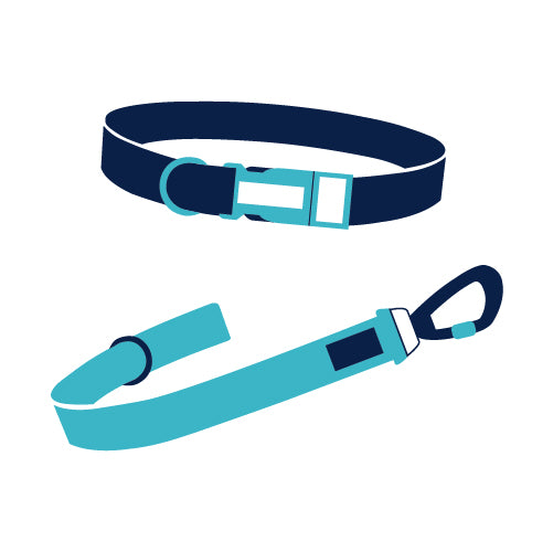 Collars, Leashes & Harnesses