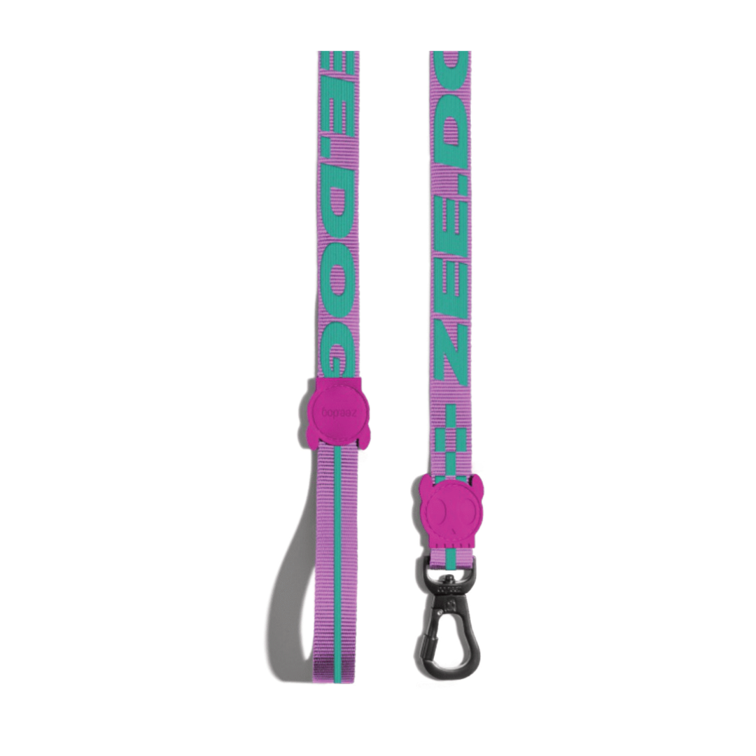 Zee.dog Aura Leash