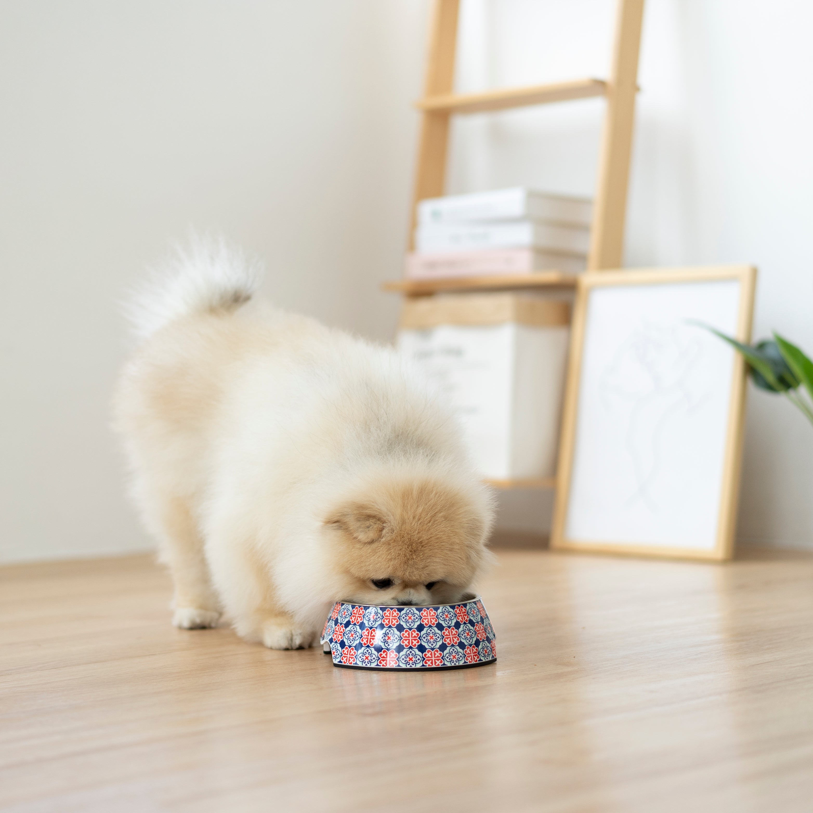 Ohpopdog Non-slip Bowl - Heritage Royal Blue