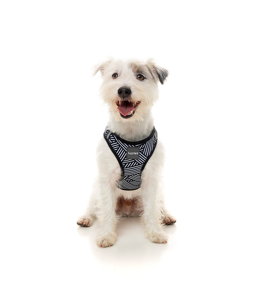 Fuzzyard Northcote Step-in Dog Harness