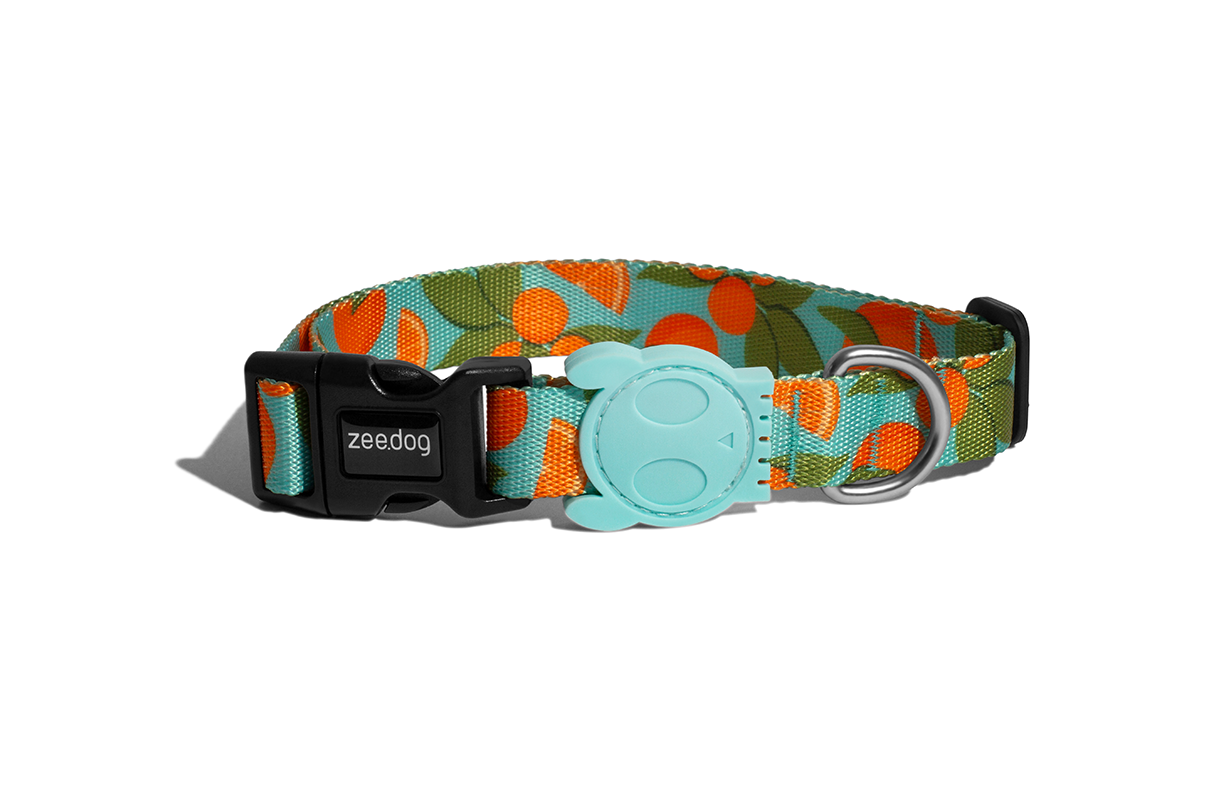 Zee.dog Florida Dog Collar