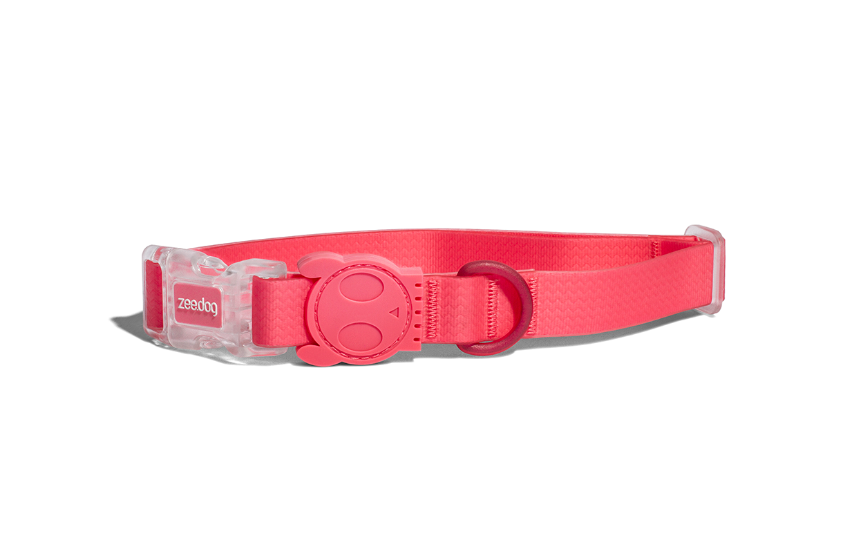 Zee.dog Neopro Bubblegum Dog Collar