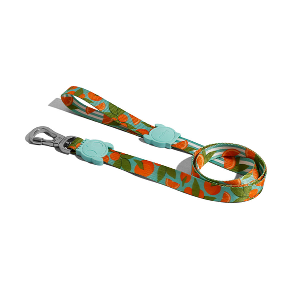 Zee.dog Florida Dog Leash