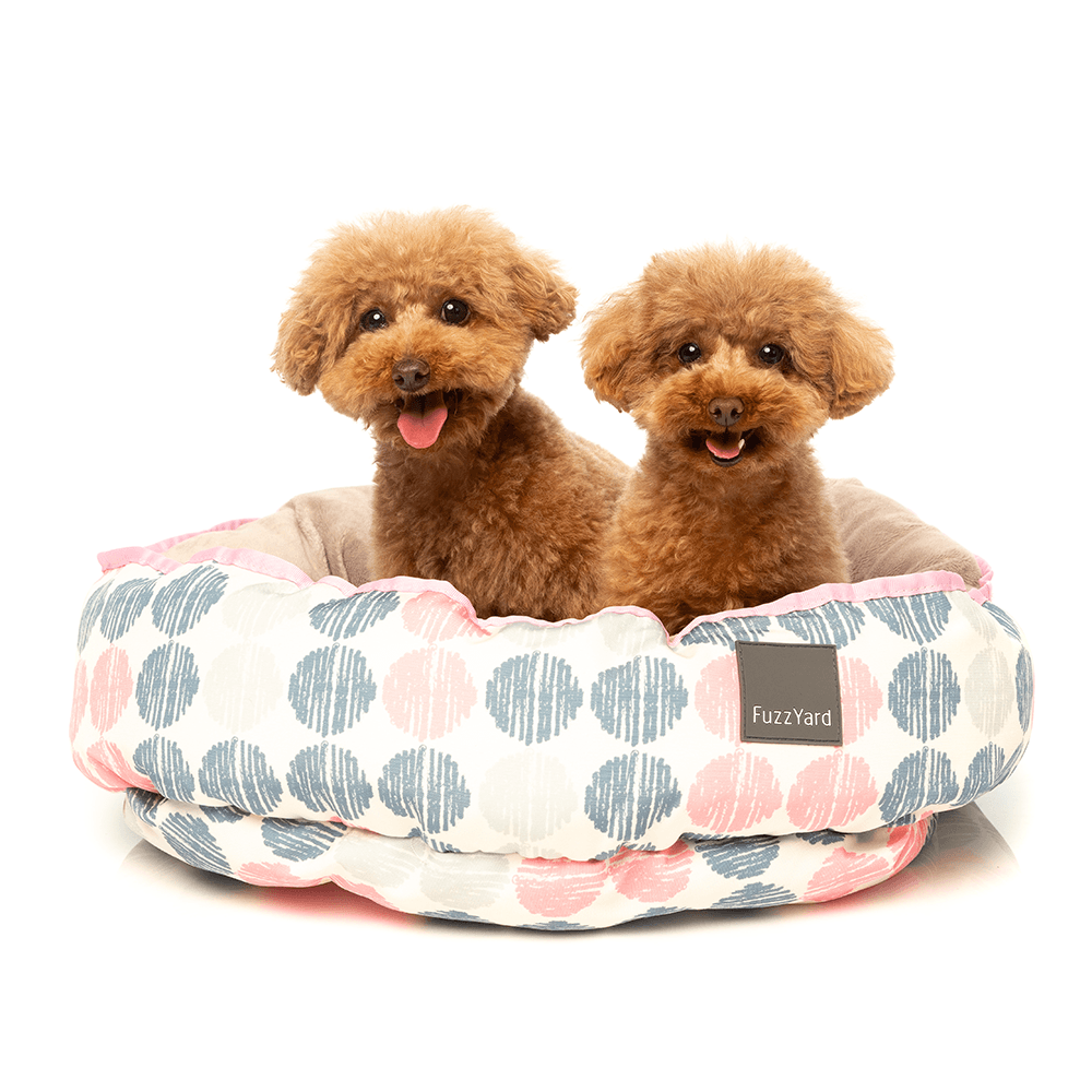Fuzzyard Ontario Reversible Bed