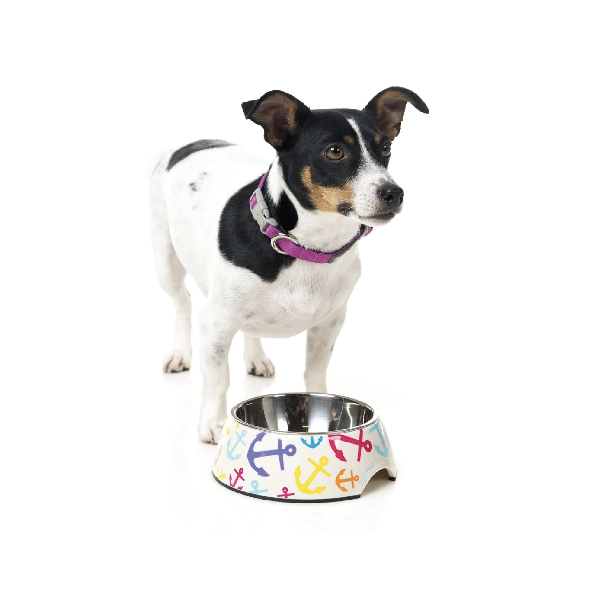 FuzzYard Easy Feeder Dog Bowl (Ahoy)