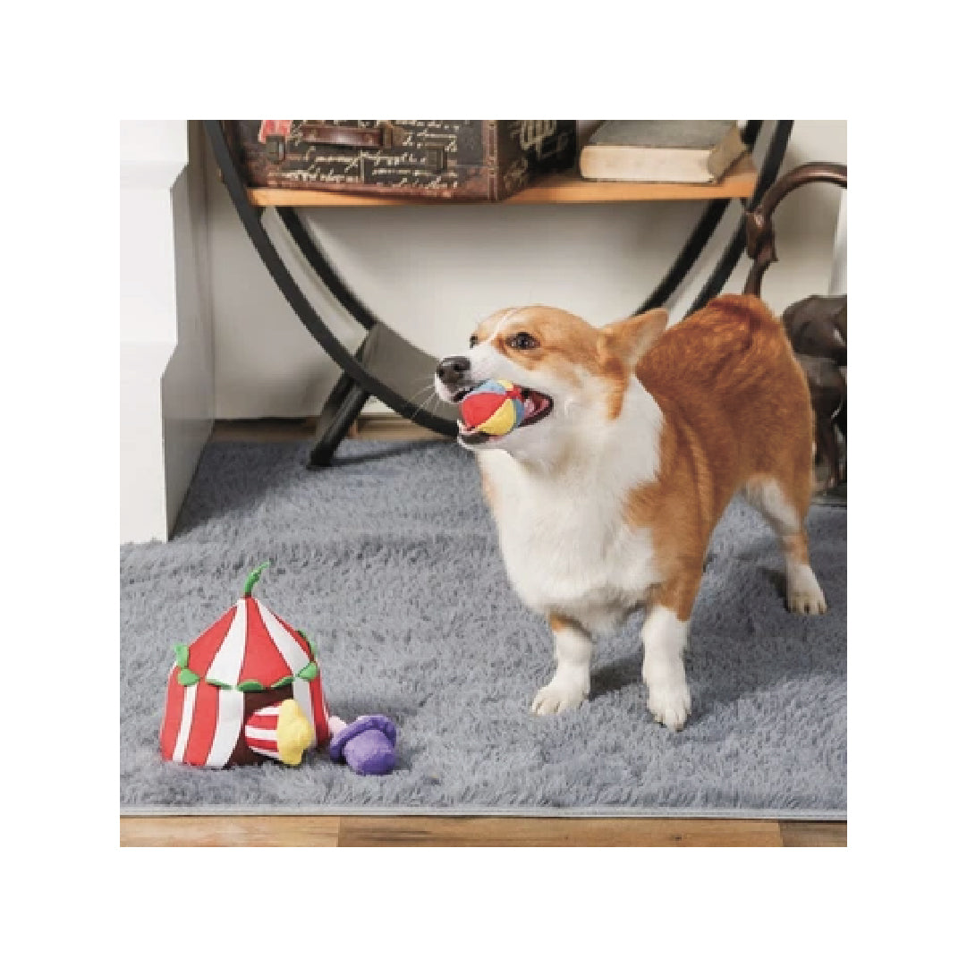 HugSmart - Happy Circus Burrow Dog Toy