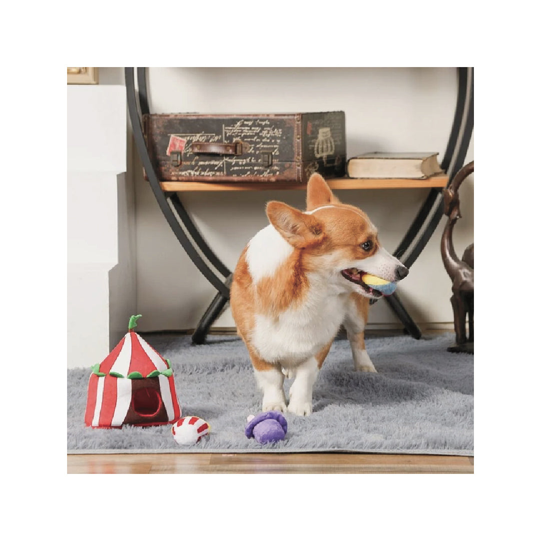 HugSmart - Happy Circus Burrow Dog Toy
