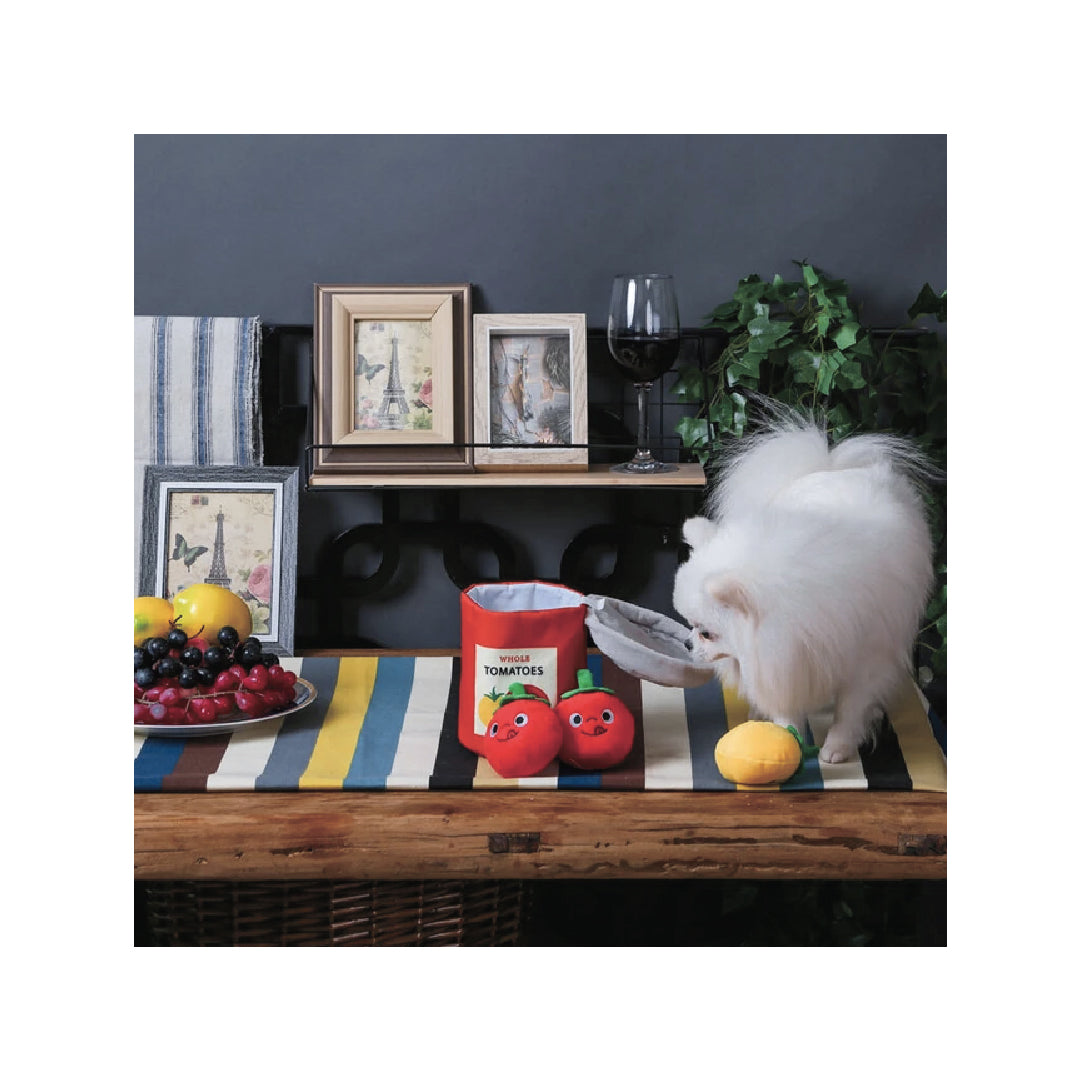 HugSmart Sunday Tomato Can Burrow Dog Toy