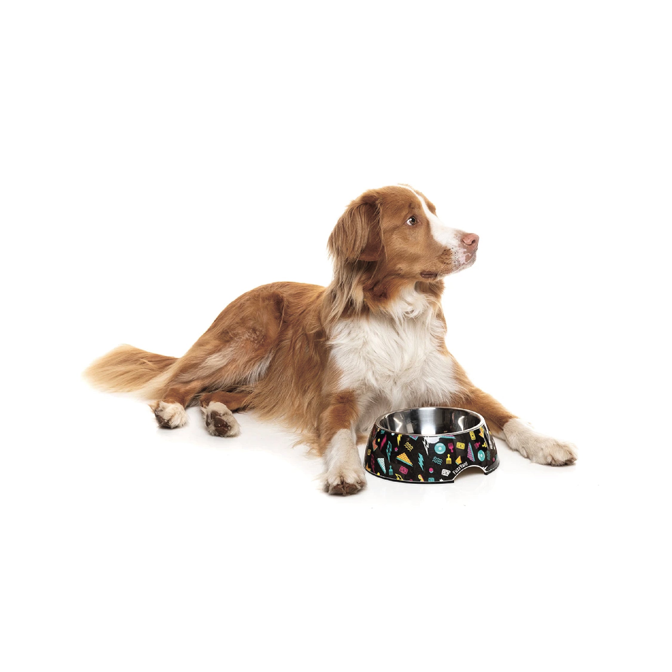 FuzzYard Easy Feeder Dog Bowl (Bel Air)