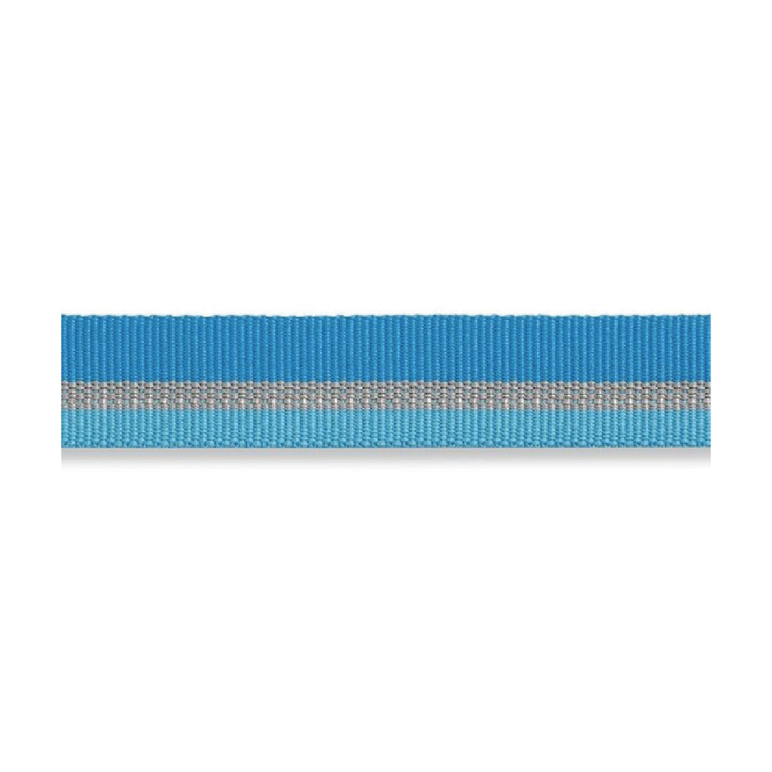 Ruffwear Chain Reaction Dog Collar (Blue Dusk)