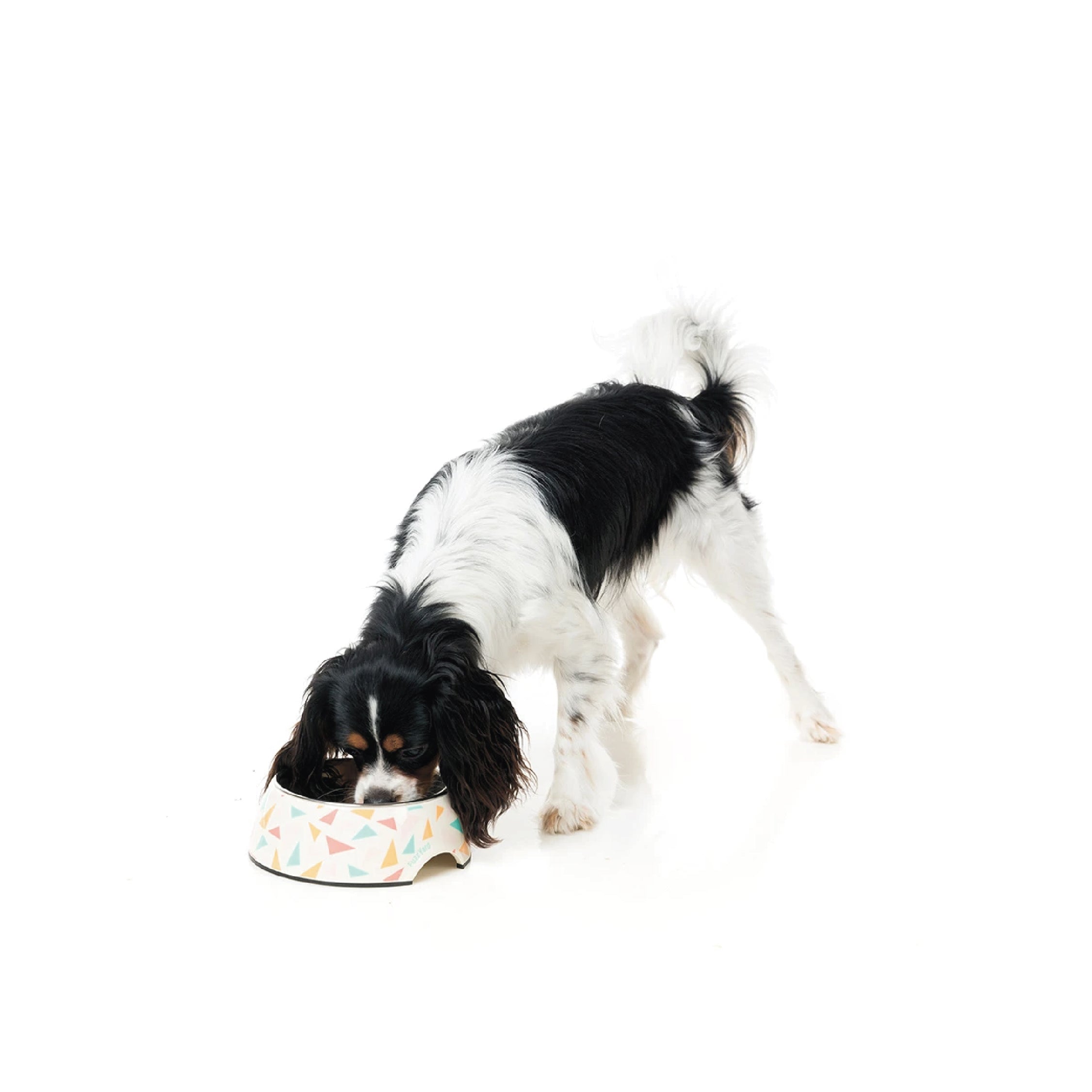 FuzzYard Easy Feeder Dog Bowl (Fab)
