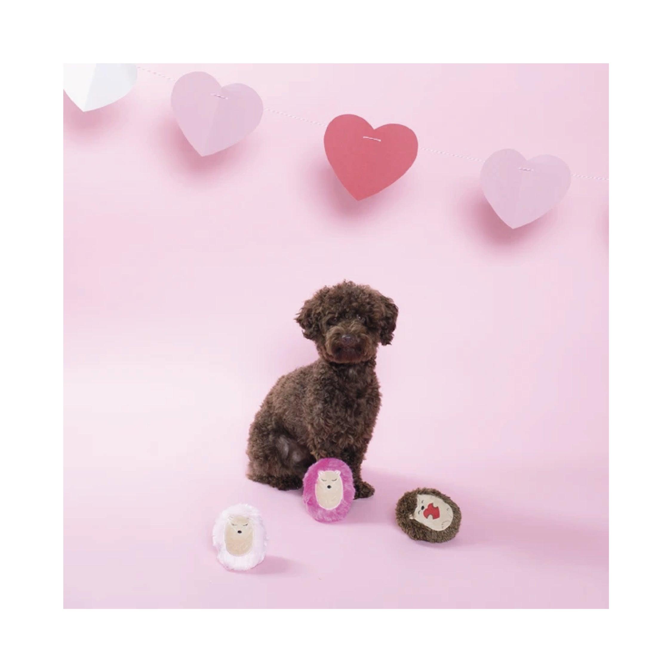 Fringe Studio Mini Hedge Hugs & Kisses Plush Dog Toy