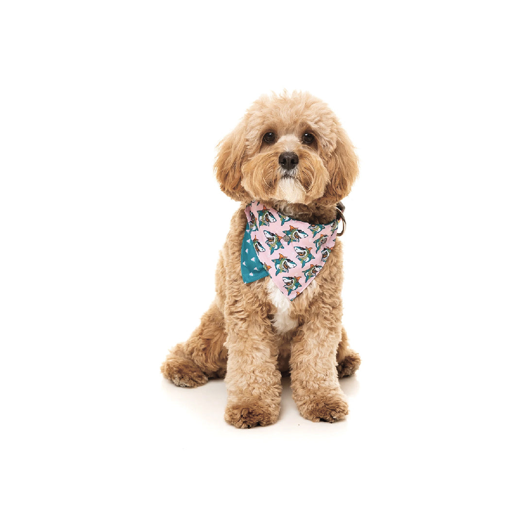 Fuzzyard LL Cool Jaw$ Pet Bandana