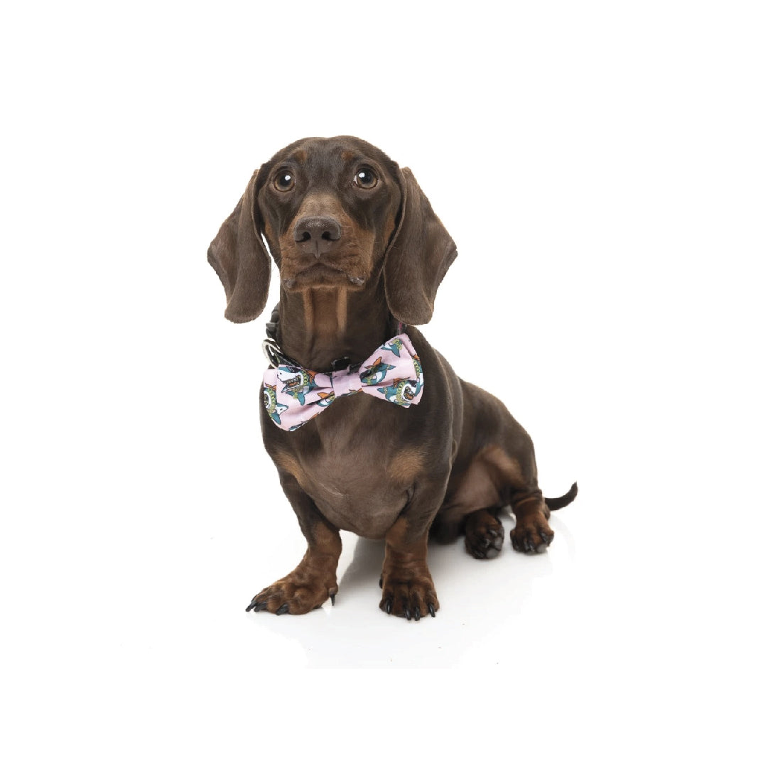 FuzzYard LL Cool Jaw$ Pet Bow Tie