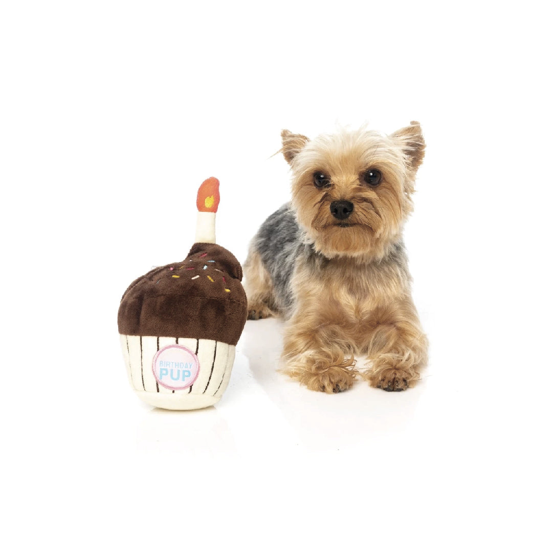 Fuzzyard Birthday Cupcake Plush Dog Toy