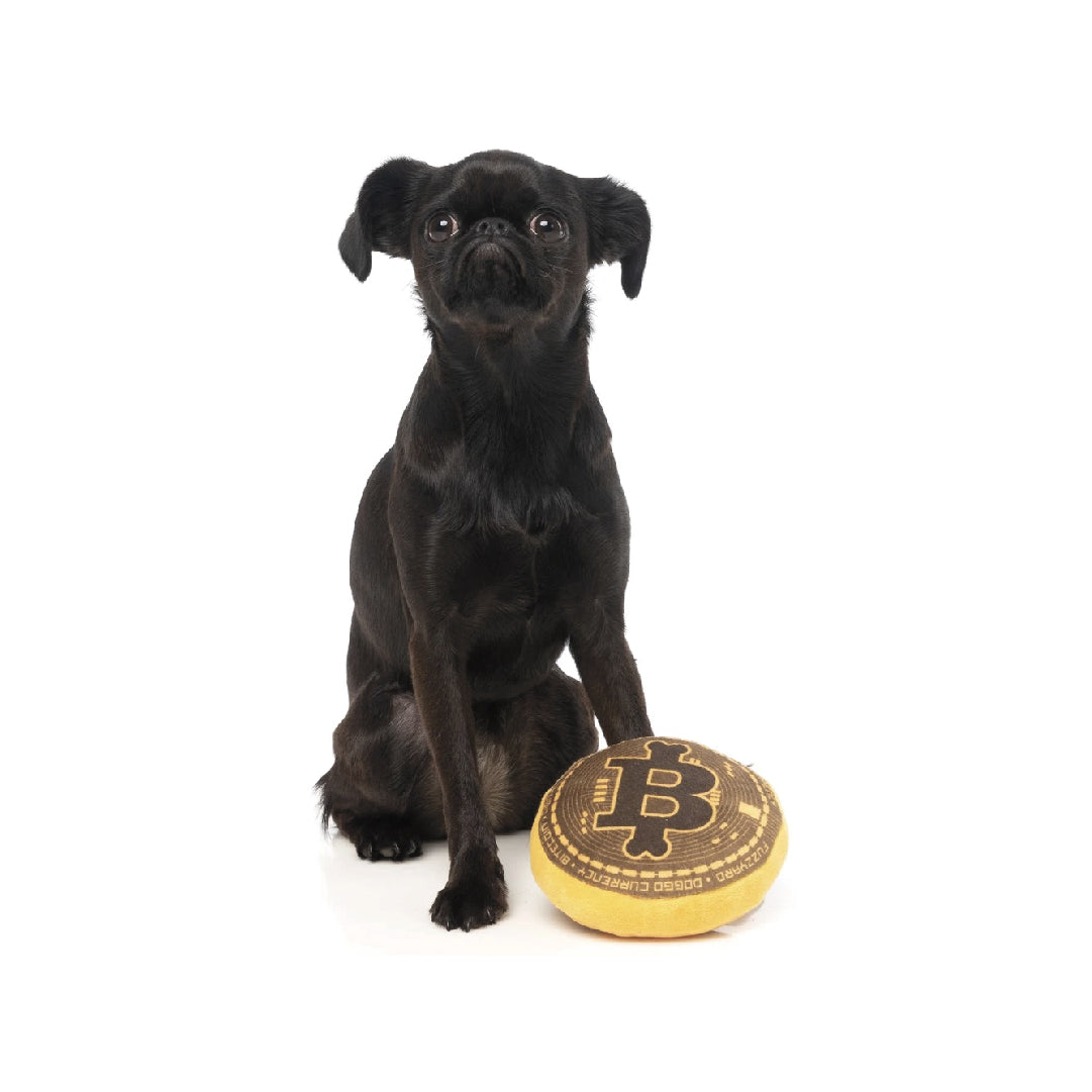 FuzzYard Bite Coin Plush Dog Toy