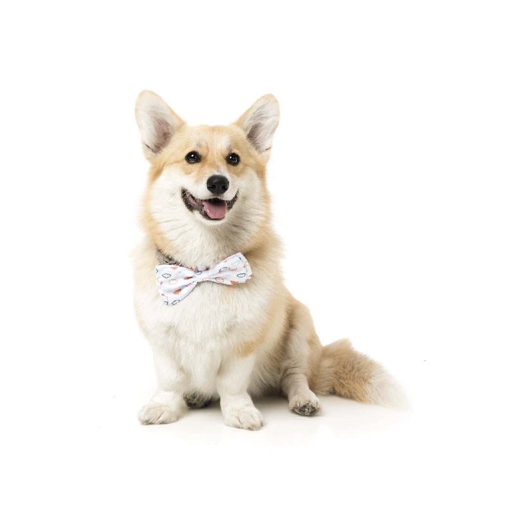 FuzzYard Cloud Pet Bow Tie