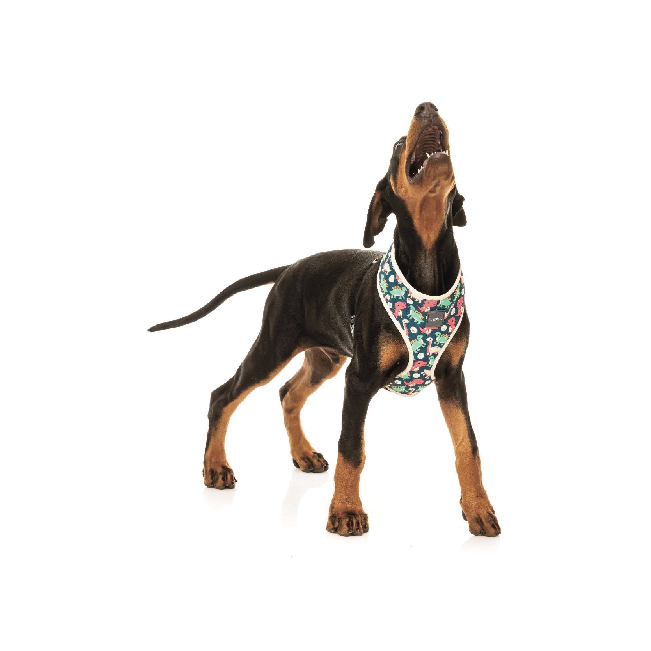 Fuzzyard Dinosaur Land Step-In Dog Harness