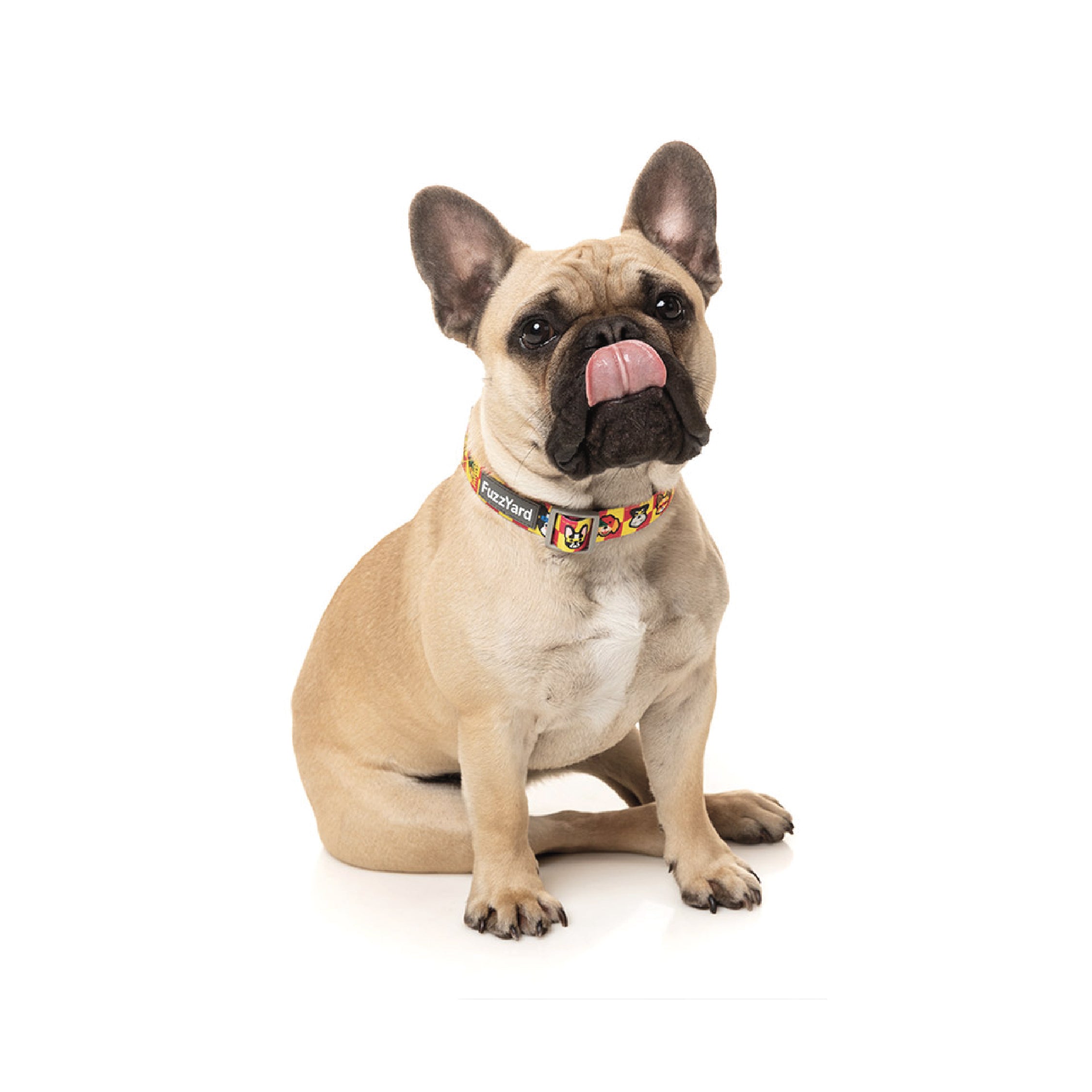 Fuzzyard Doggoforce Dog Collar