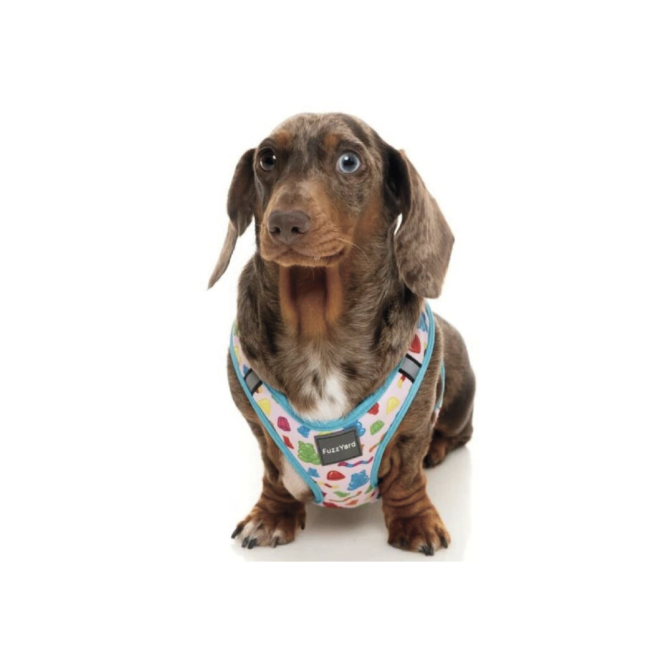Fuzzyard Jelly Bears Step-In Dog Harness