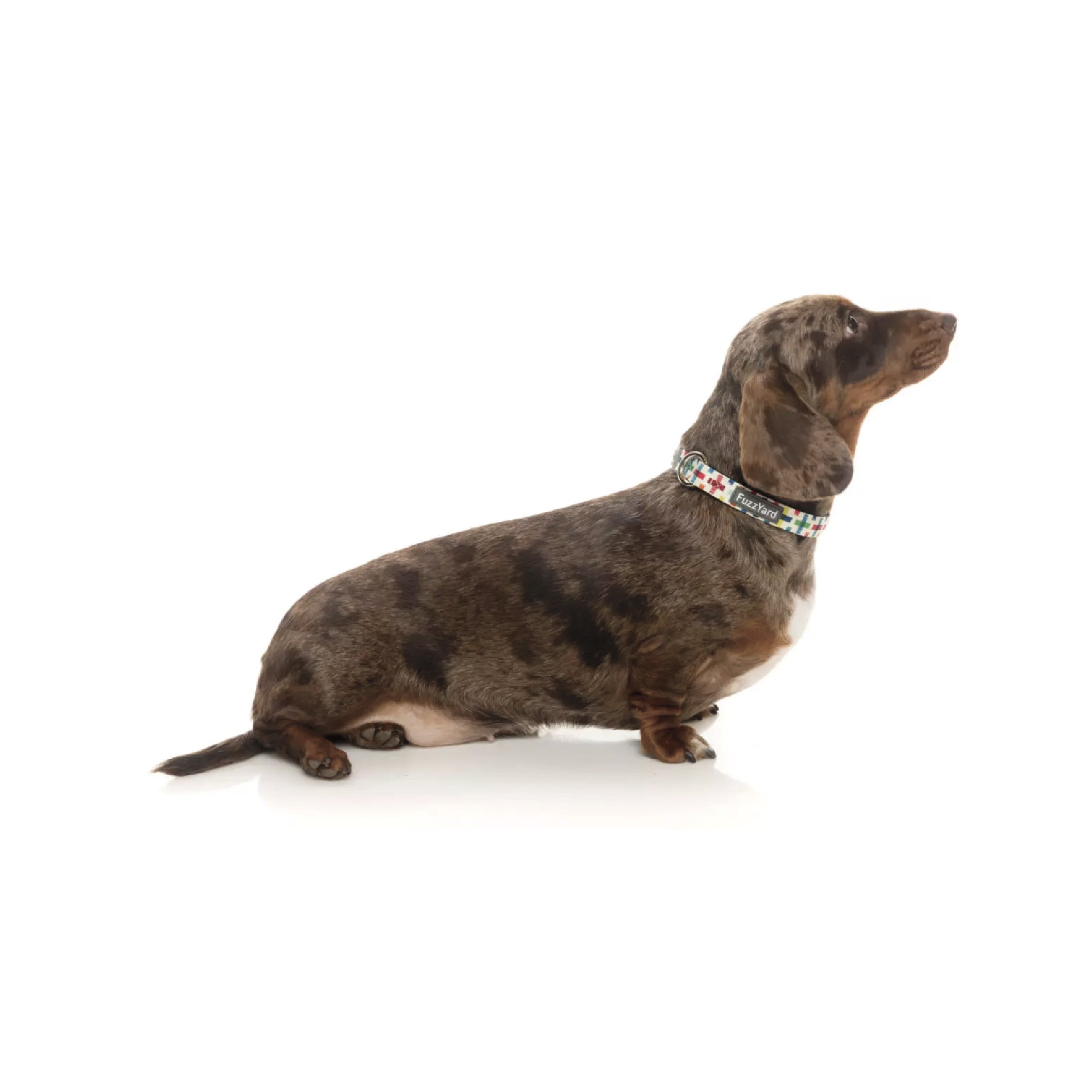 Fuzzyard Jenga Dog Collar