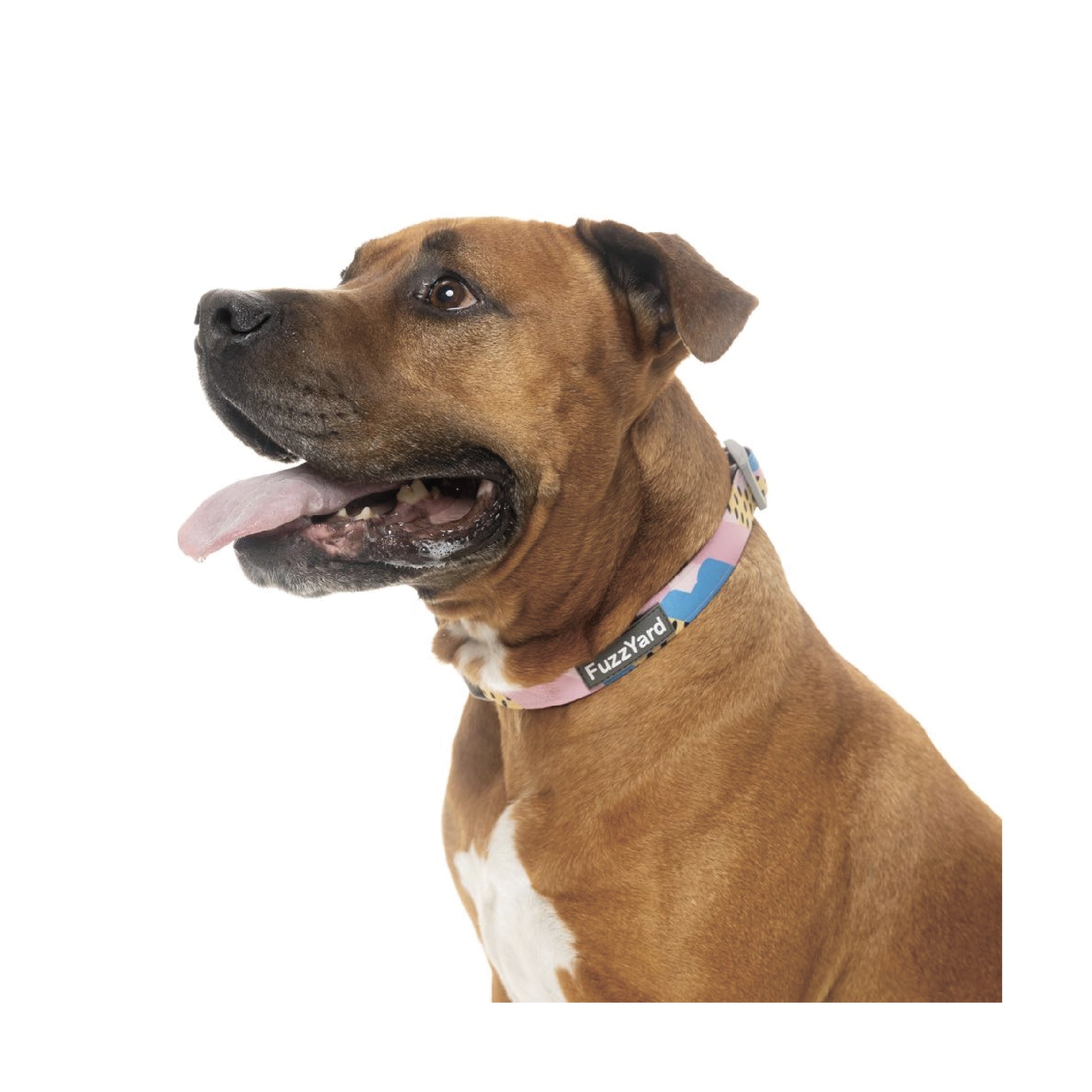 Fuzzyard Jiggy Dog Collar