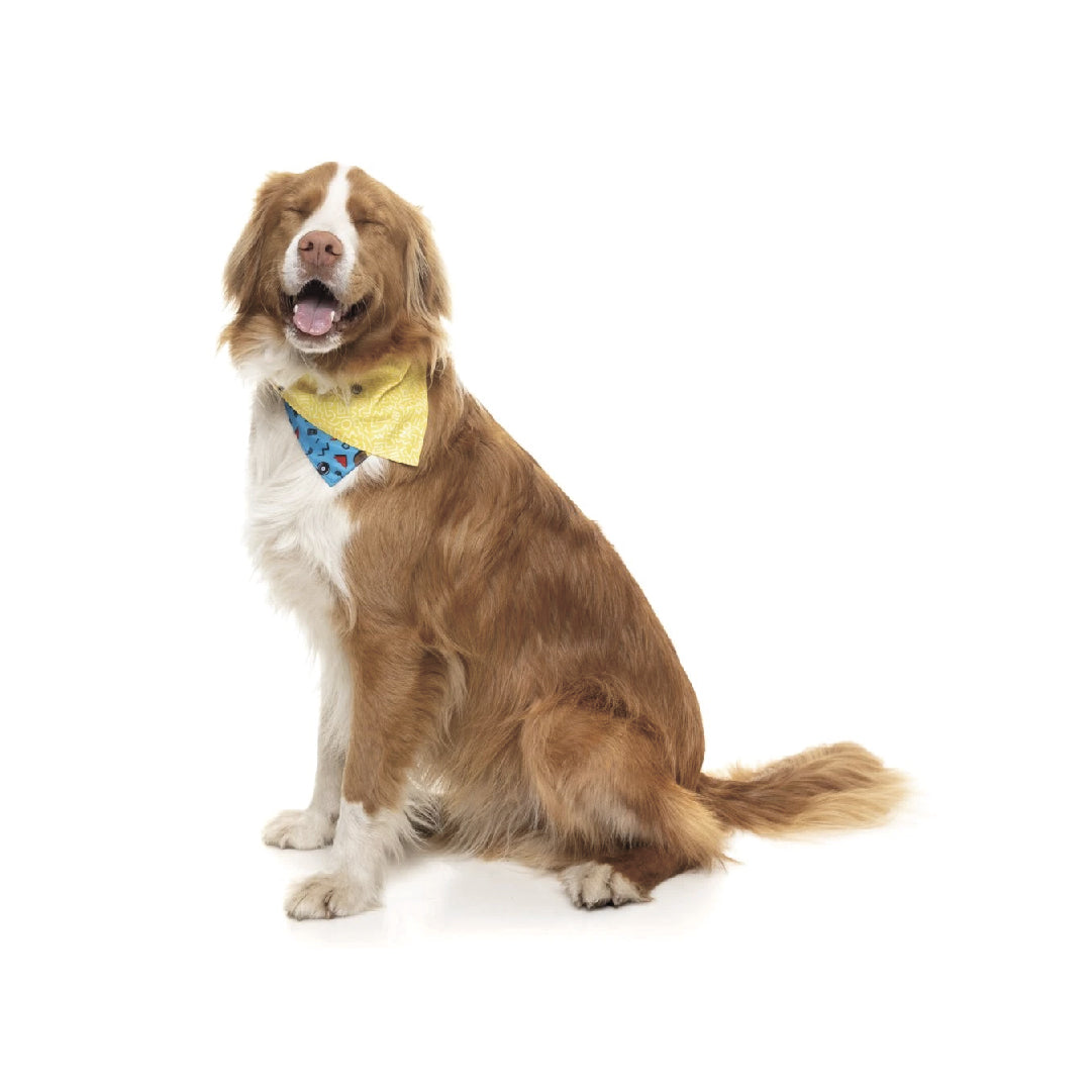 Fuzzyard Kings of Gold School Pet Bandana