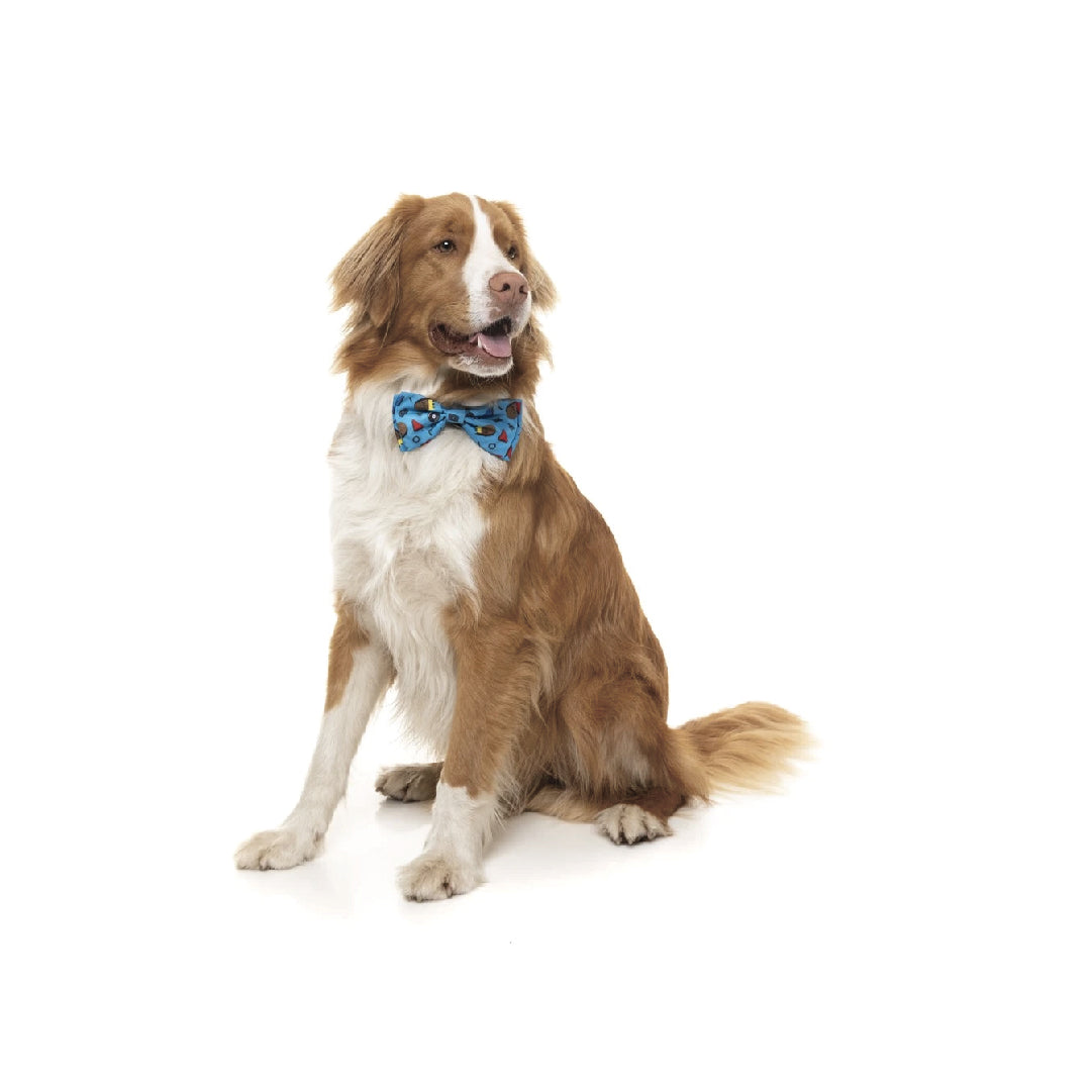 FuzzYard Kings of Gold School Pet Bow Tie