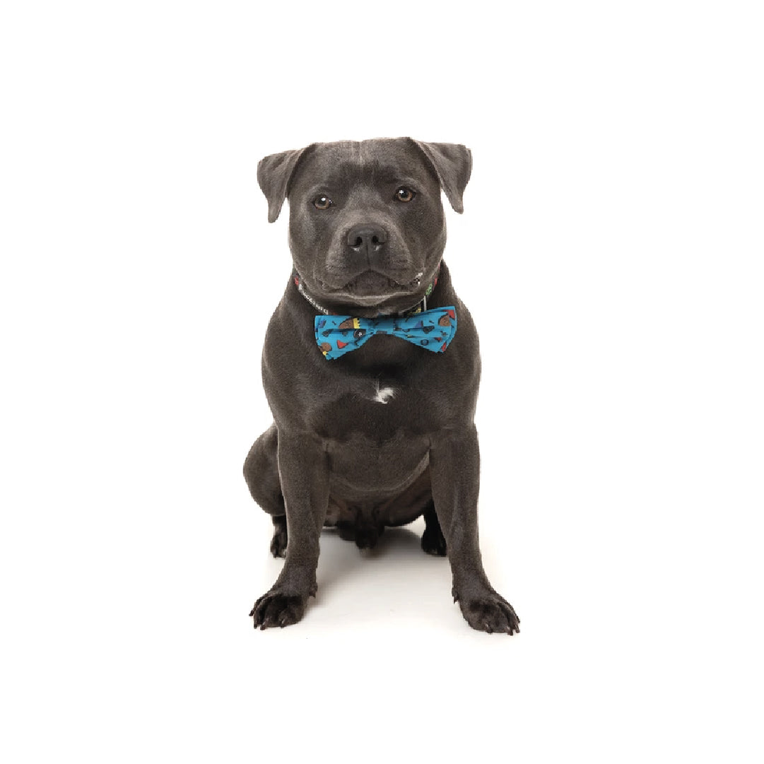 FuzzYard Kings of Gold School Pet Bow Tie