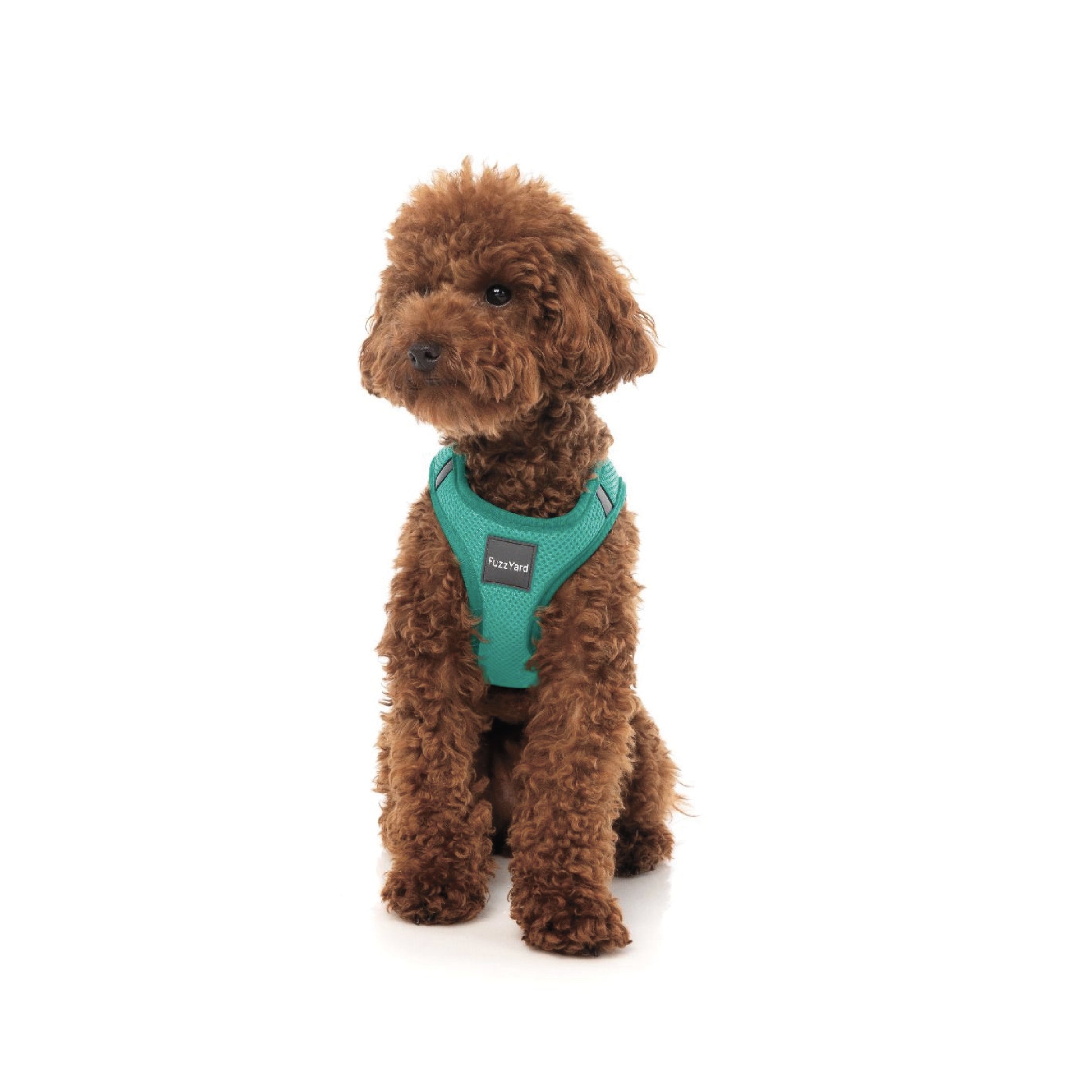 Fuzzyard Lagoon Step-In Dog Harness