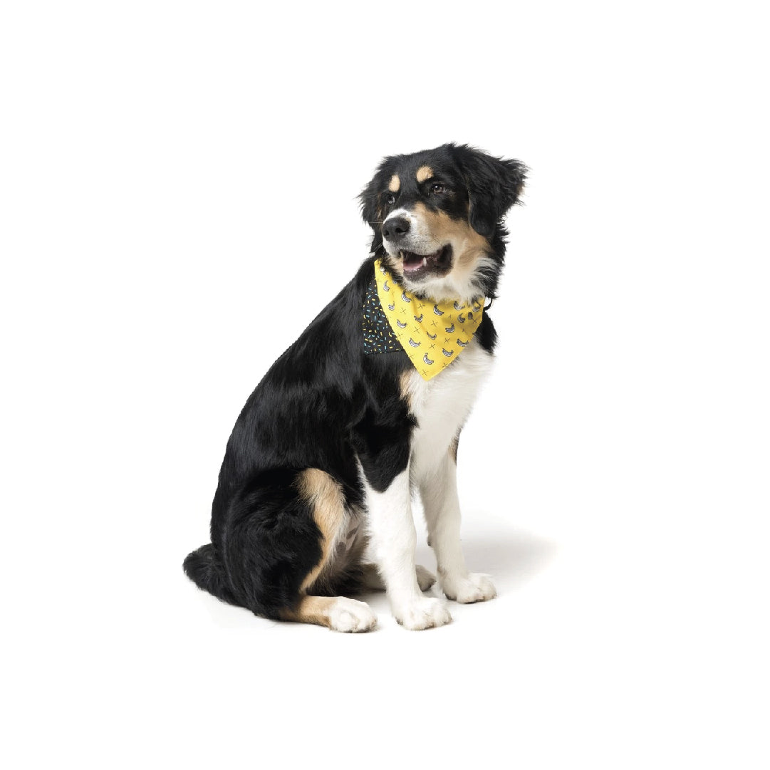 Fuzzyard Monkey Mania Pet Bandana