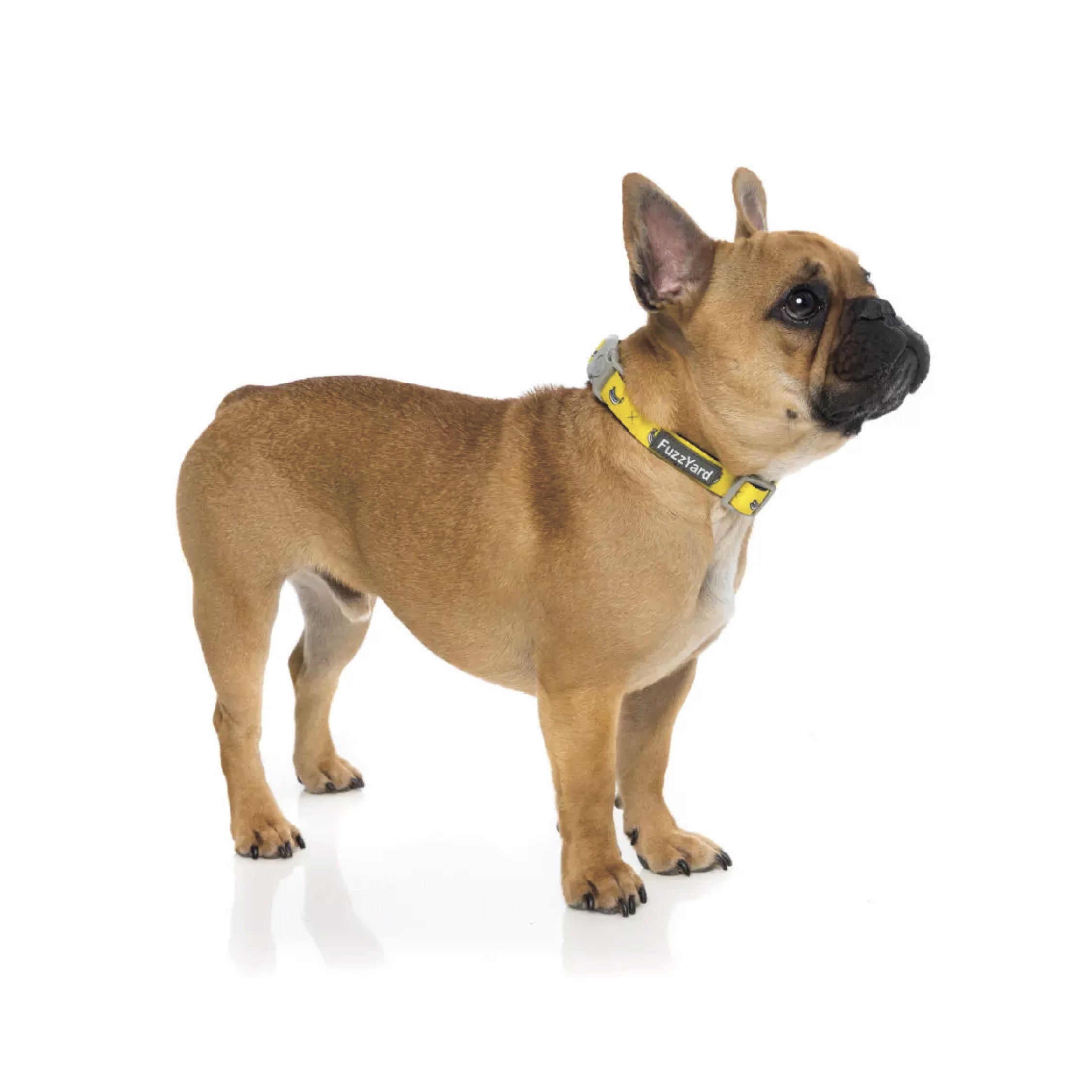 Fuzzyard Monkey Mania Dog Collar