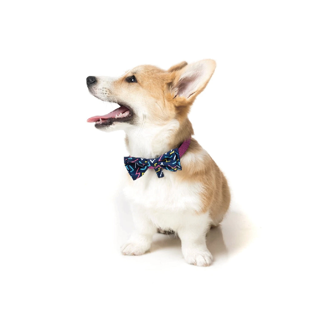 FuzzYard Multi Pet Bow Tie