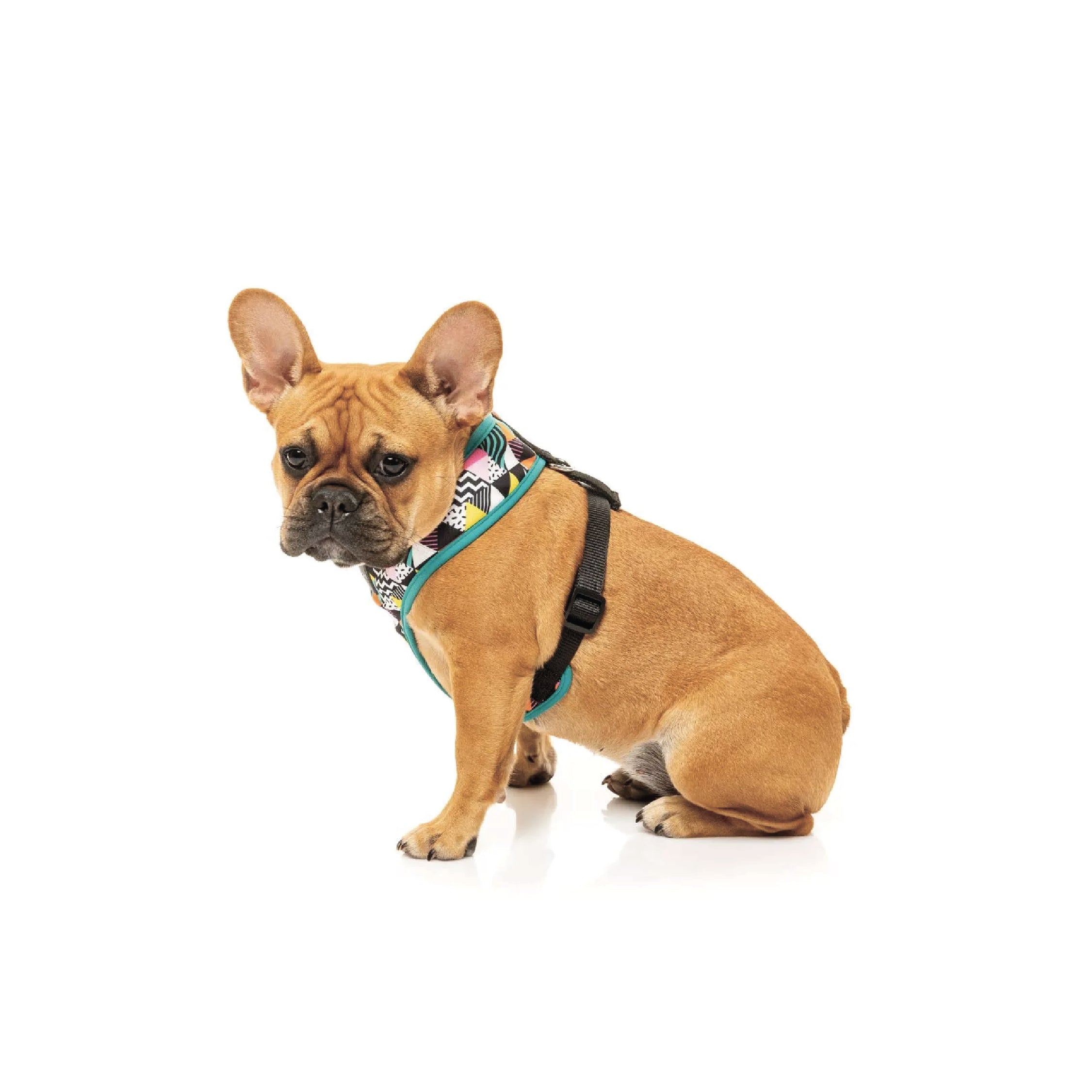 Fuzzyard No Signal Dog Harness