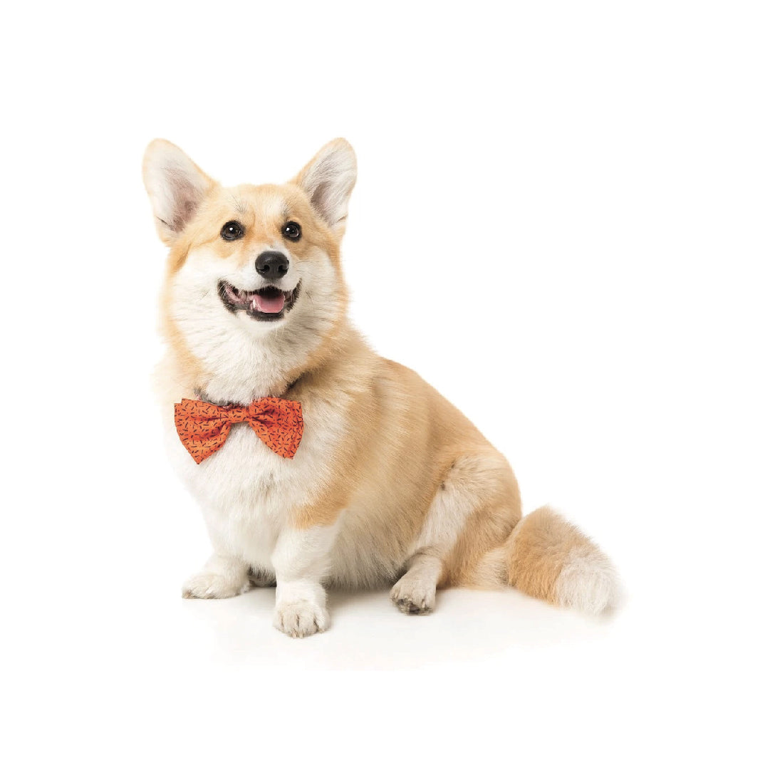 FuzzYard Orange Pet Bow Tie