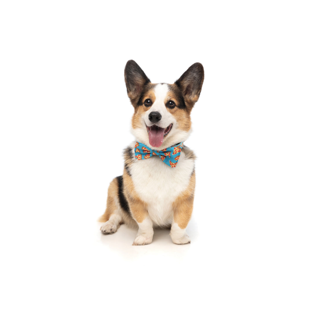 FuzzYard Pizza Lyf Pet Bow Tie