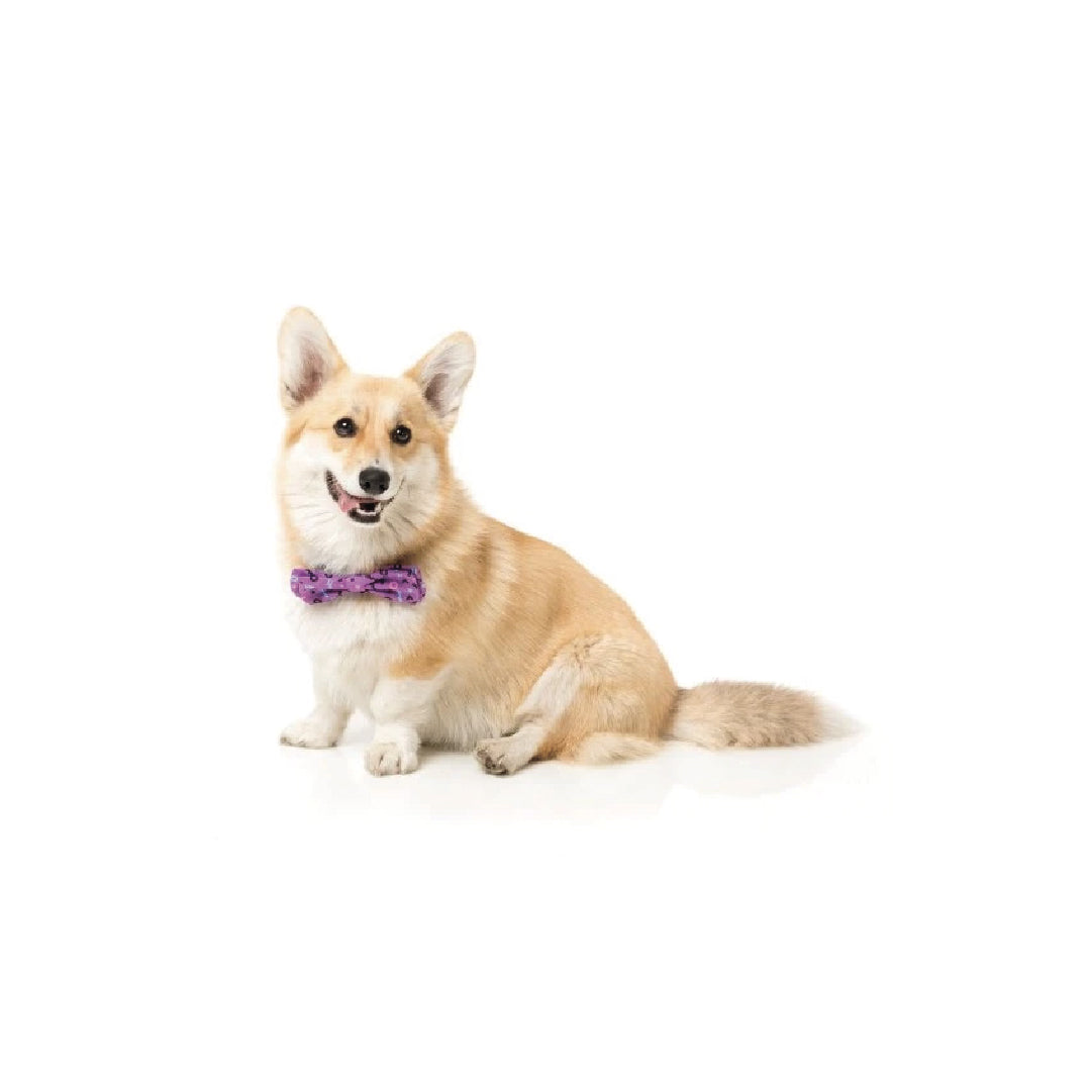 FuzzYard Purple Pet Bow Tie