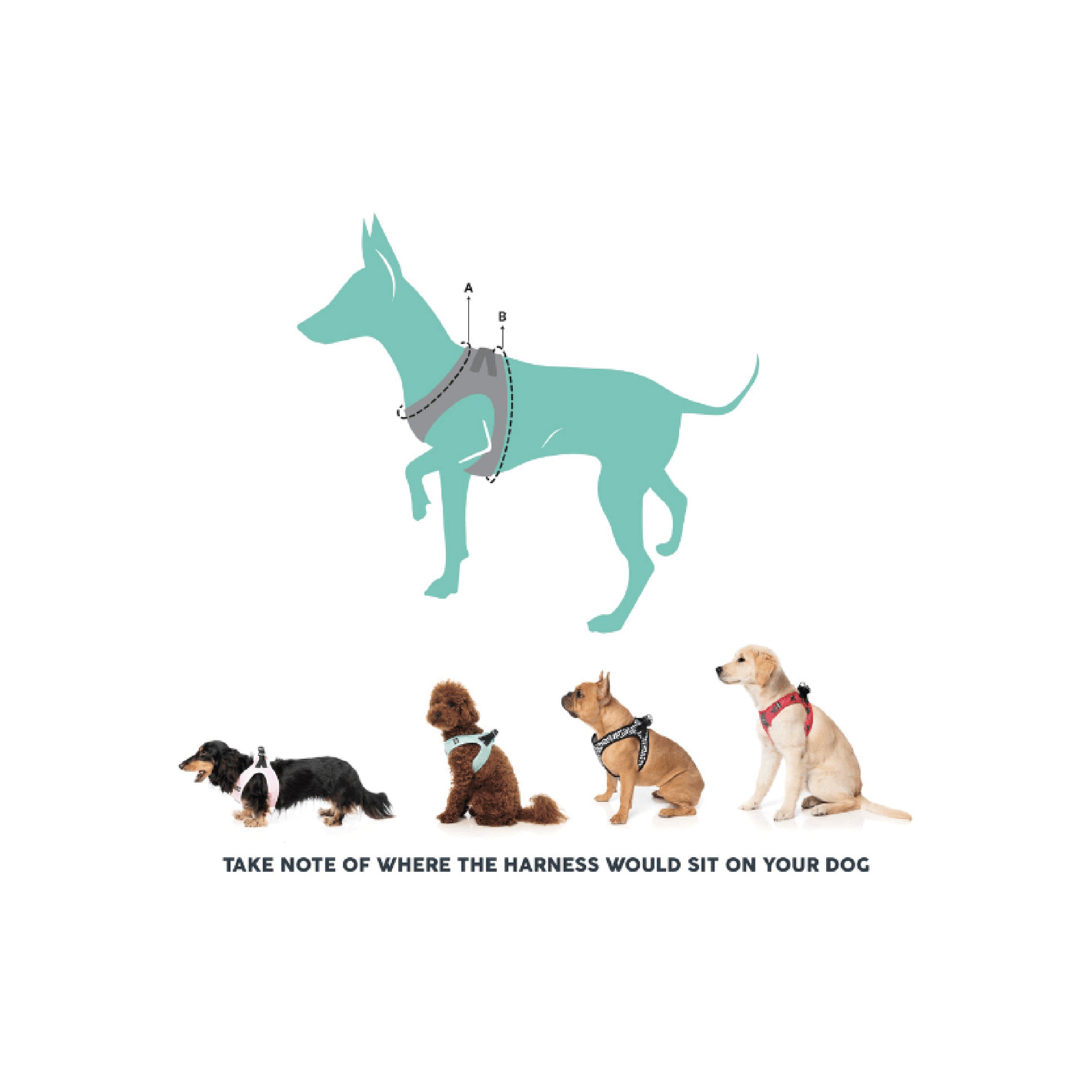 Fuzzyard Candy Hearts Step-In Dog Harness