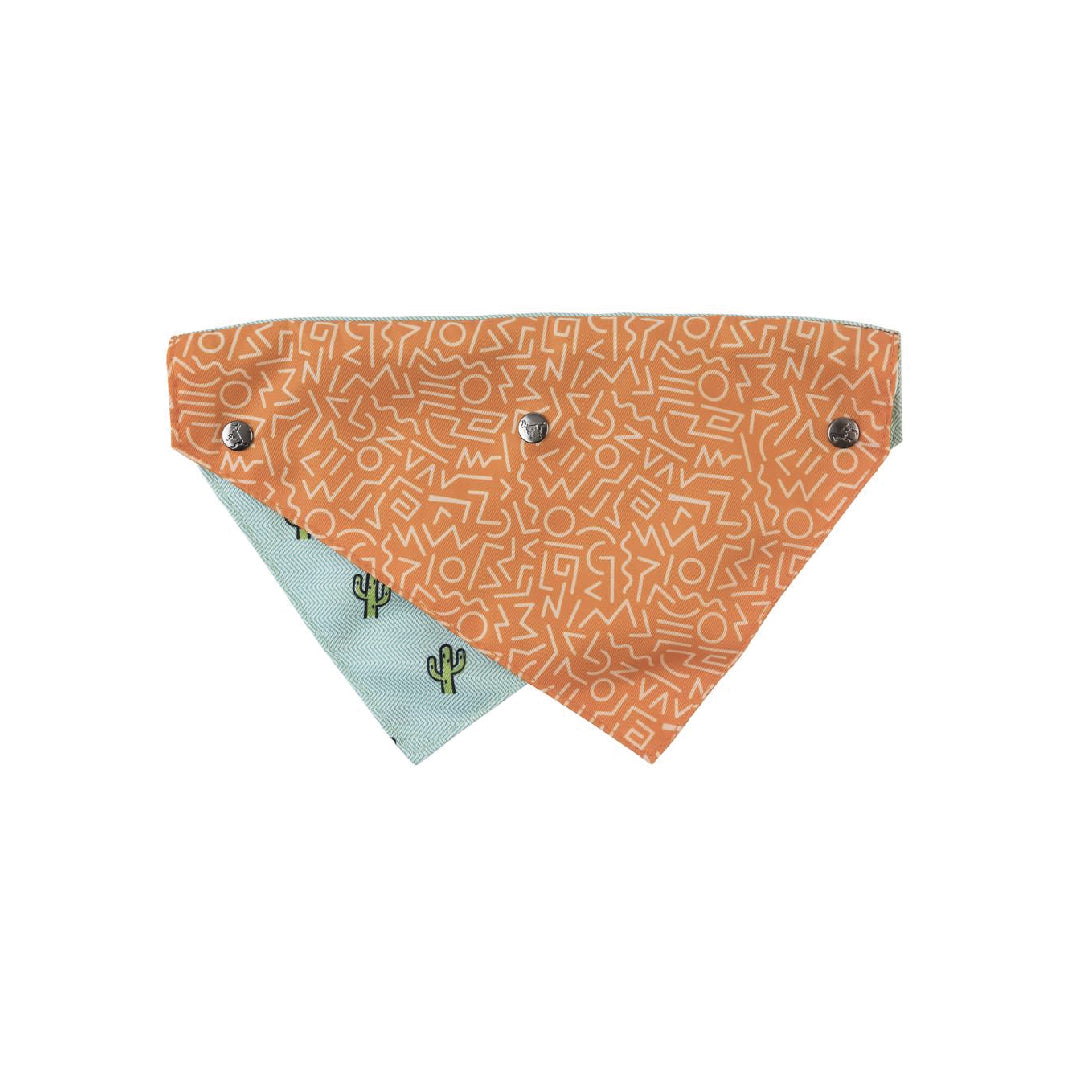 Fuzzyard Tucson Pet Bandana
