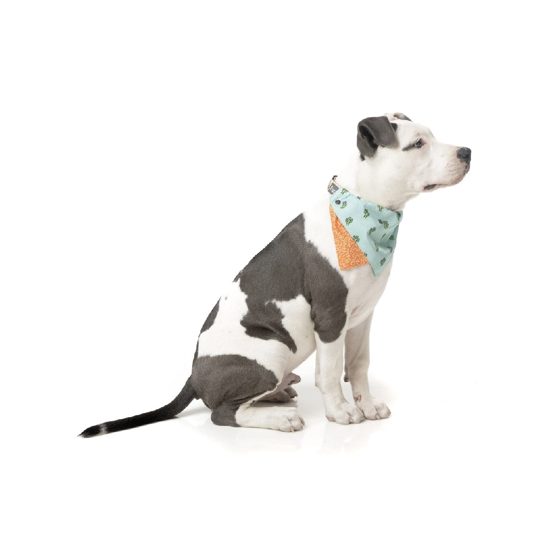 Fuzzyard Tucson Pet Bandana