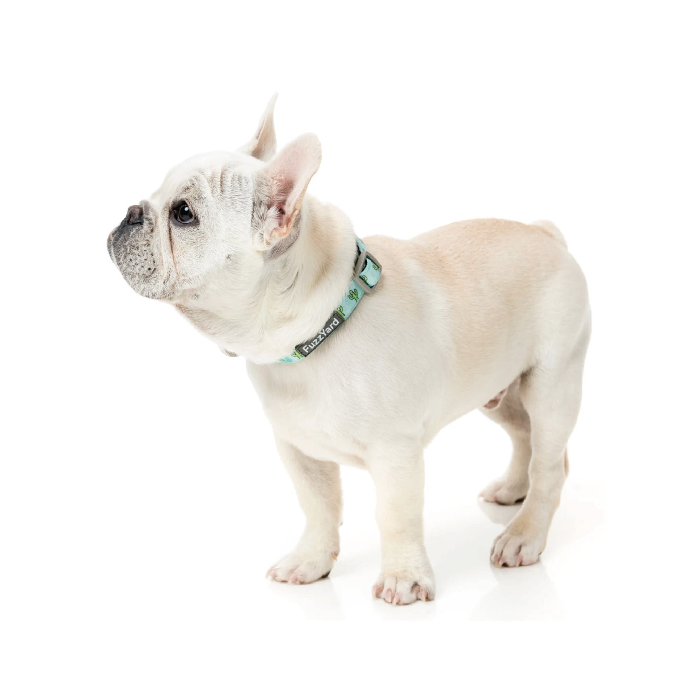 Fuzzyard Tucson Dog Collar