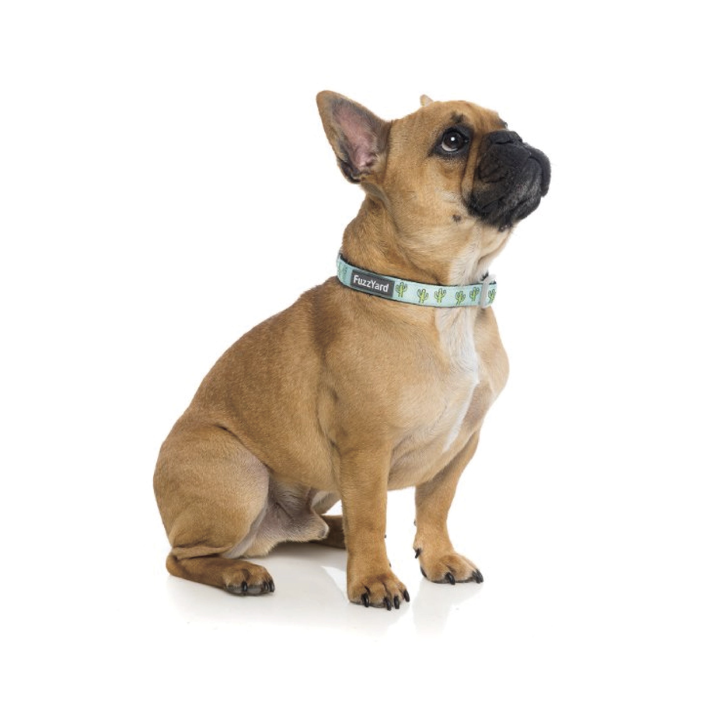 Fuzzyard Tucson Dog Collar