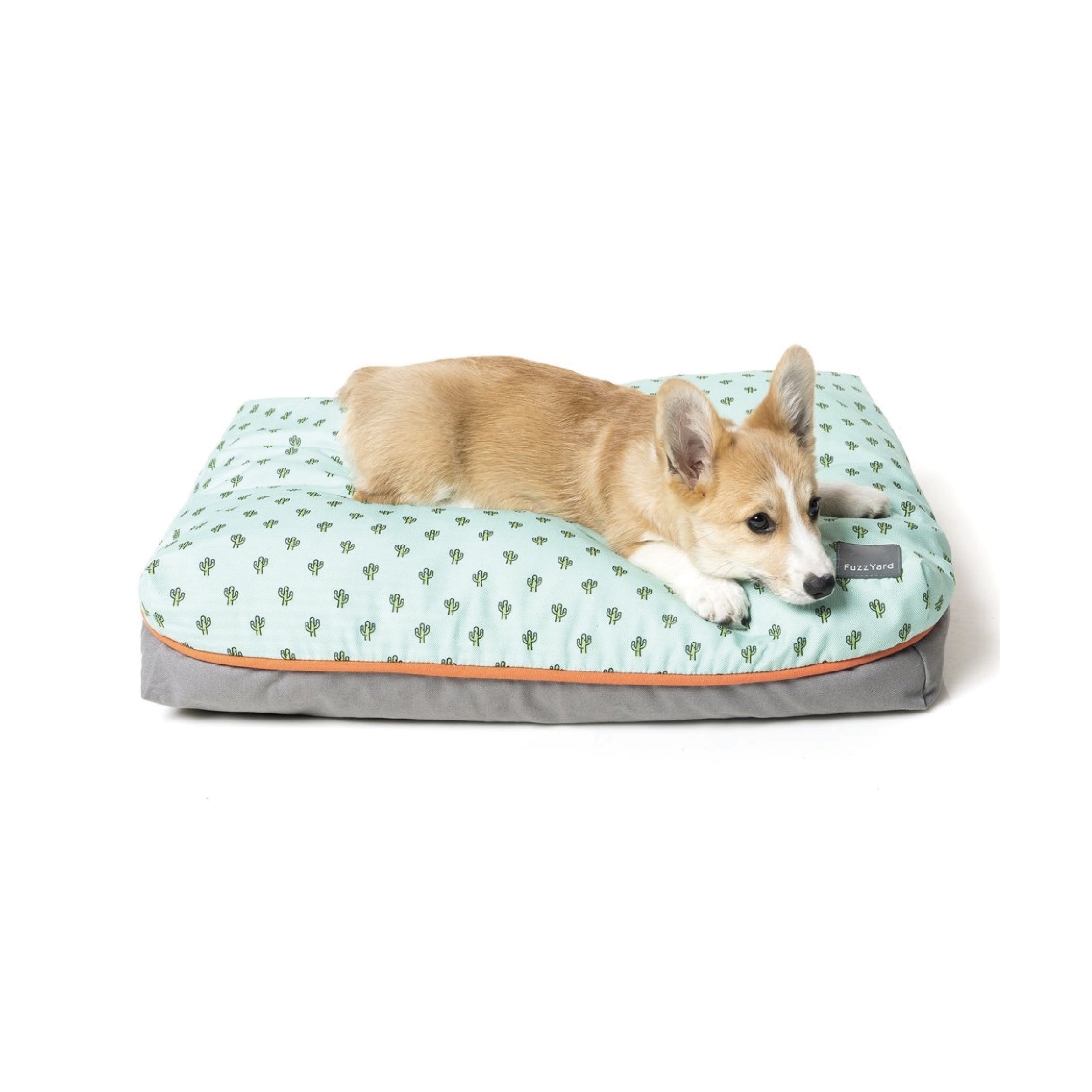 FuzzYard Tucson Big Dreamer Pet Pillow