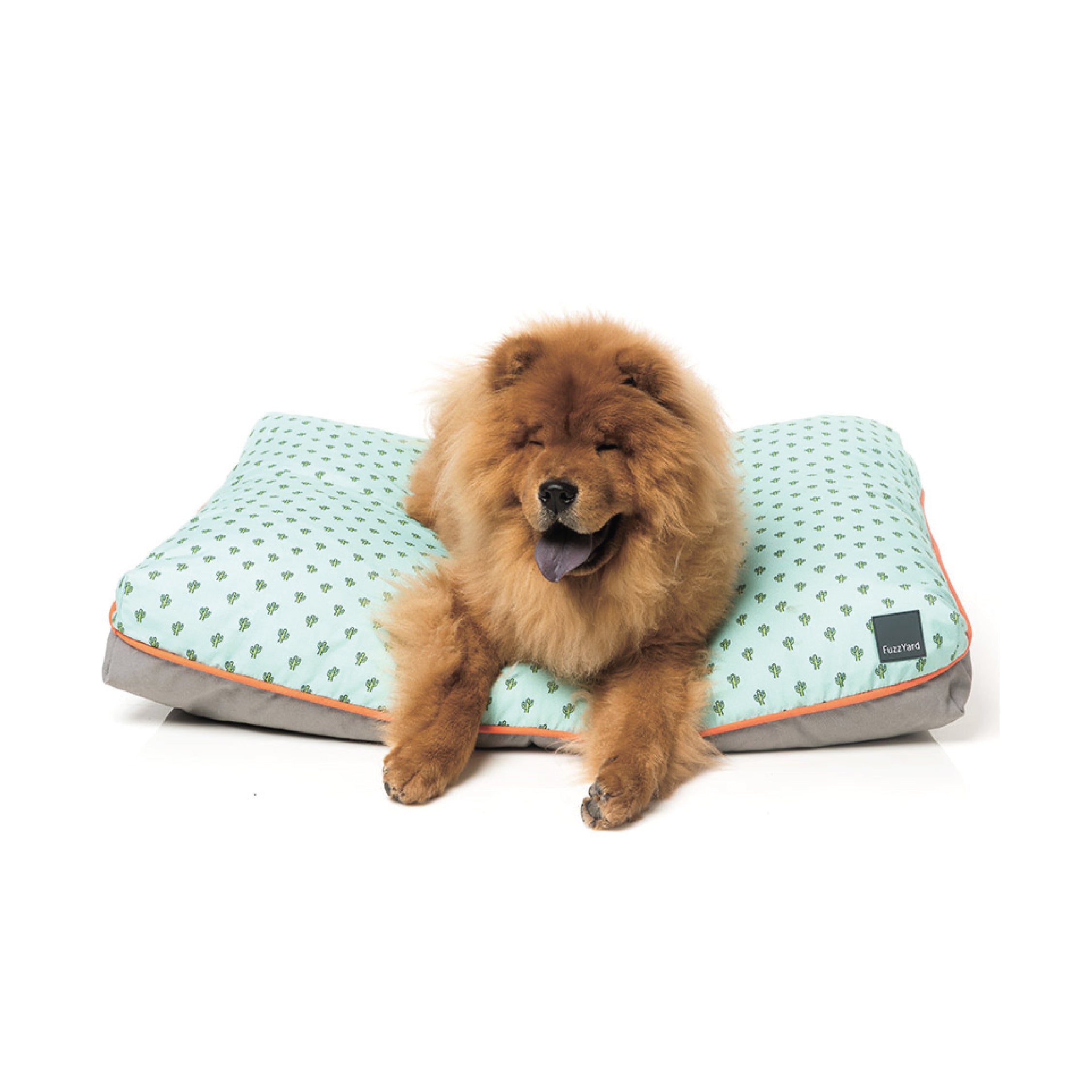 FuzzYard Tucson Big Dreamer Pet Pillow
