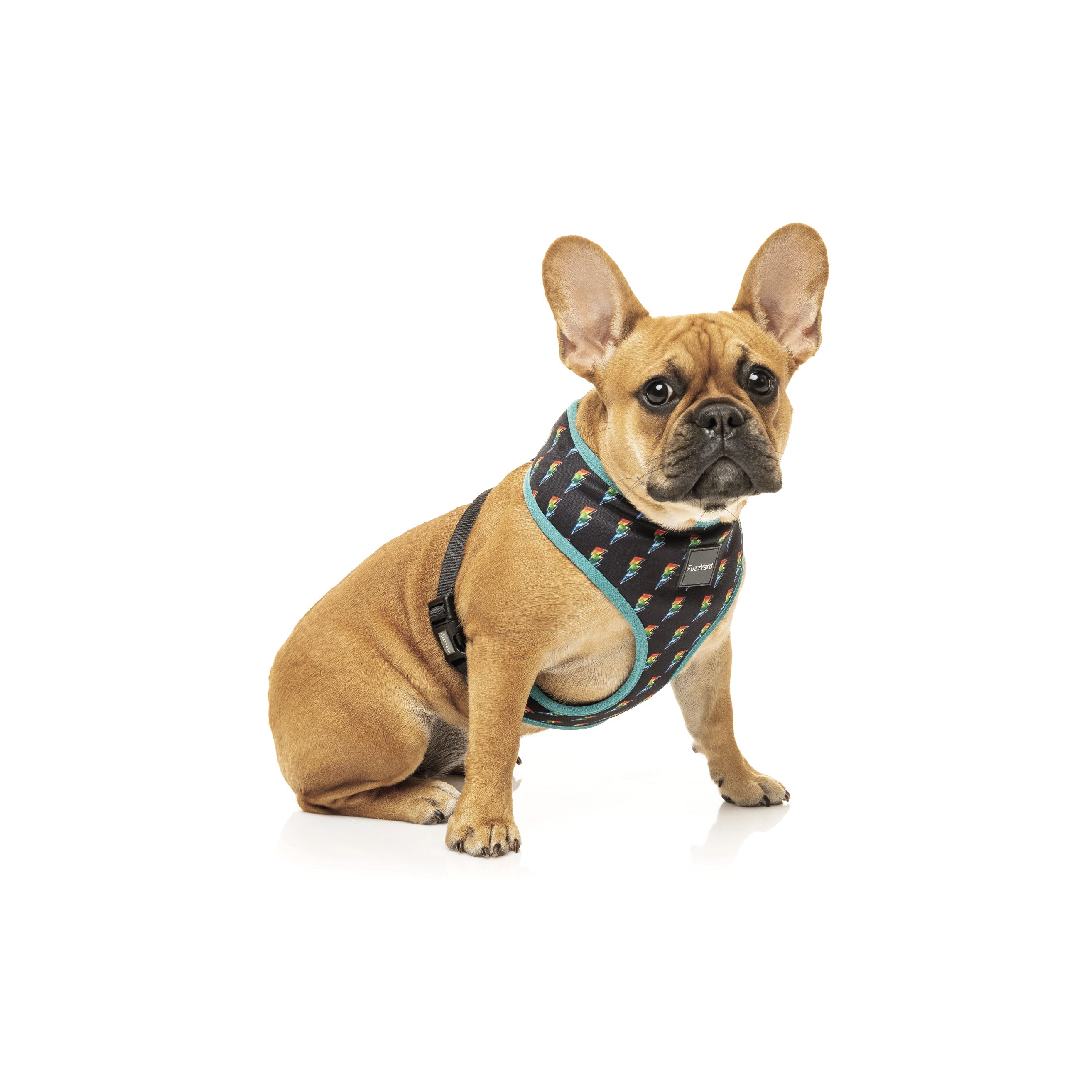 Fuzzyard Volt Step-In Dog Harness