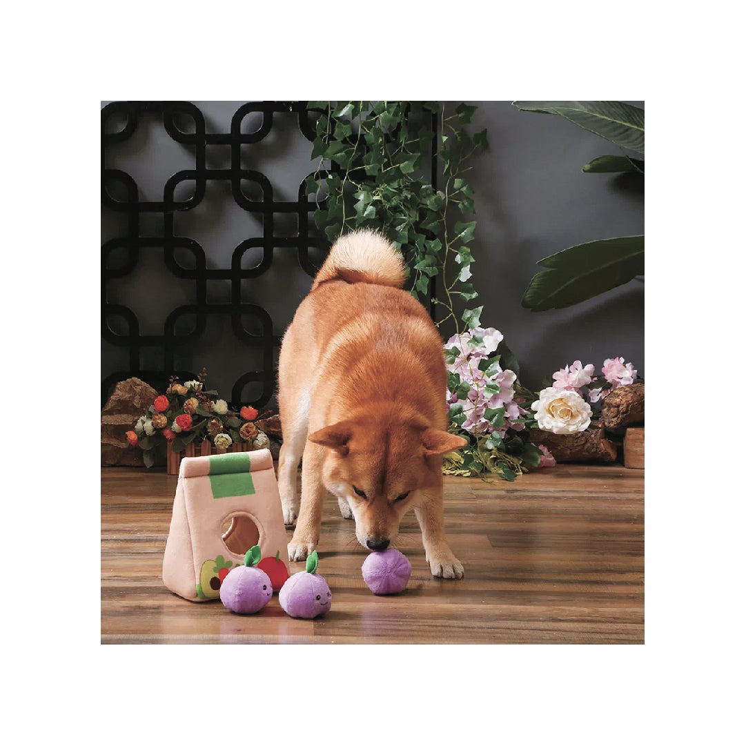 HugSmart Go Market Grocery Bag Dog Toy