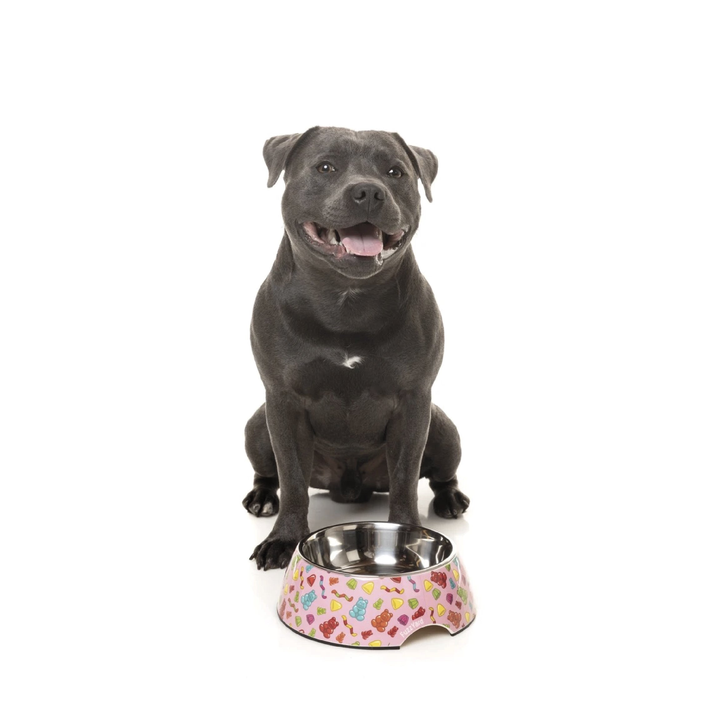 FuzzYard Easy Feeder Dog Bowl (Jelly Bears)