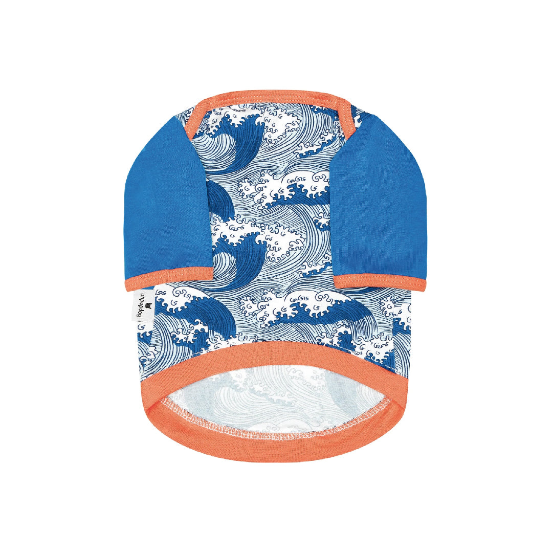 Ohpopdog Nami Dog Raglan