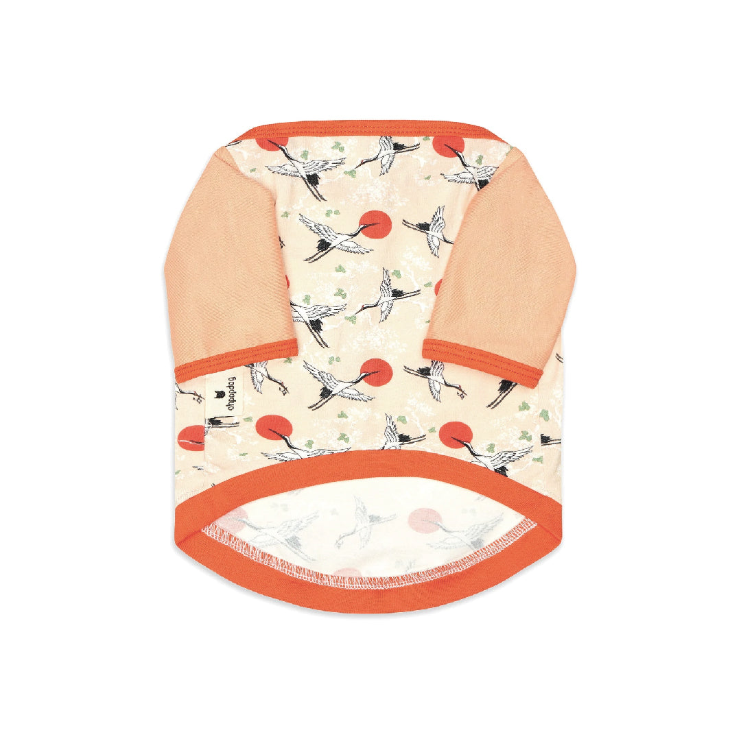 Ohpopdog Tsuru Dog Raglan