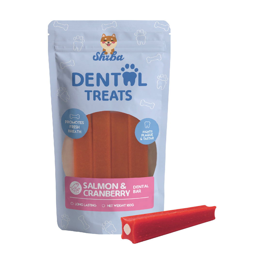 Shiba Salmon & Cranberry Dental Bar